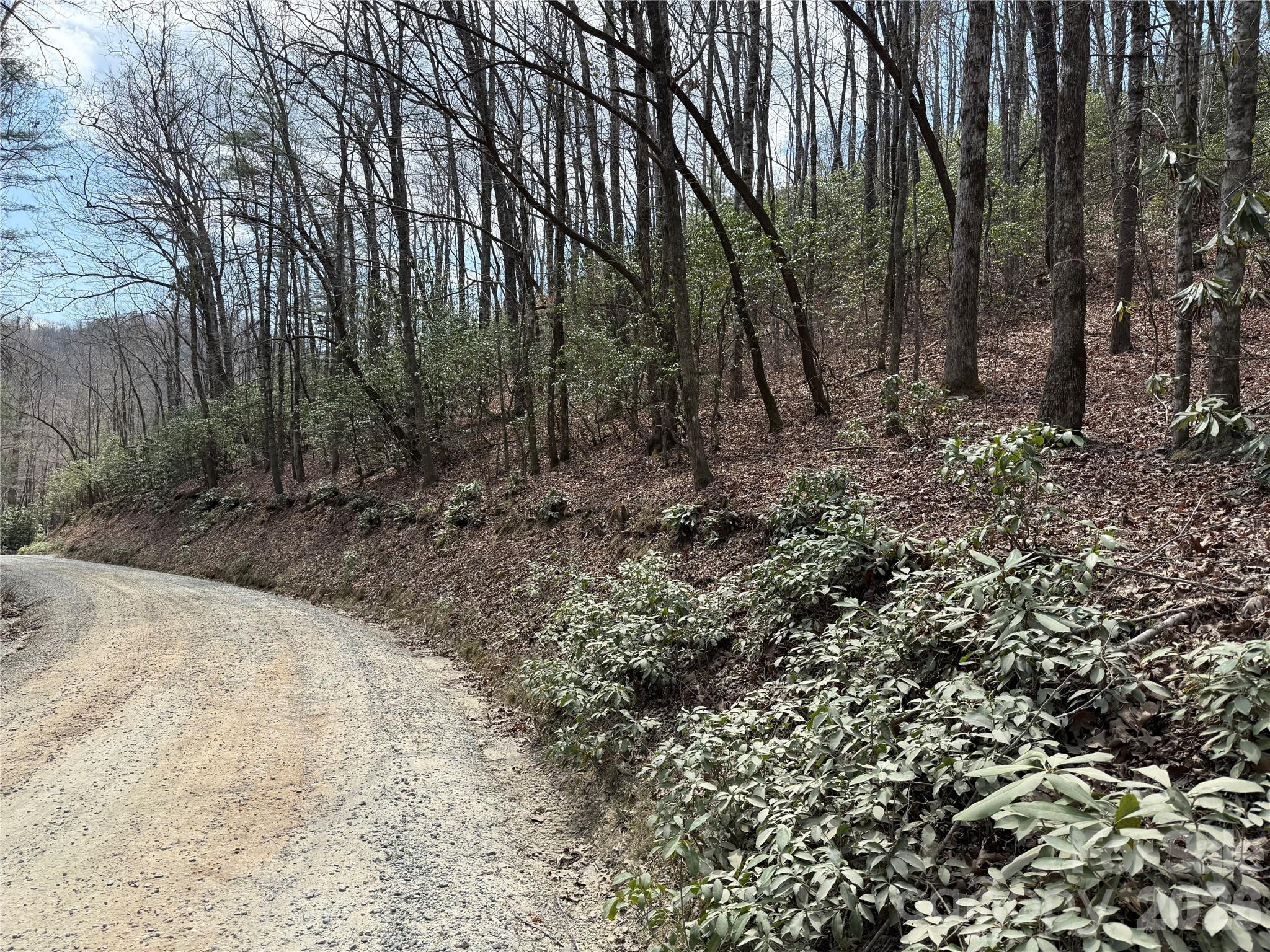 00 Line Runner Ridge Road Property Photo 17