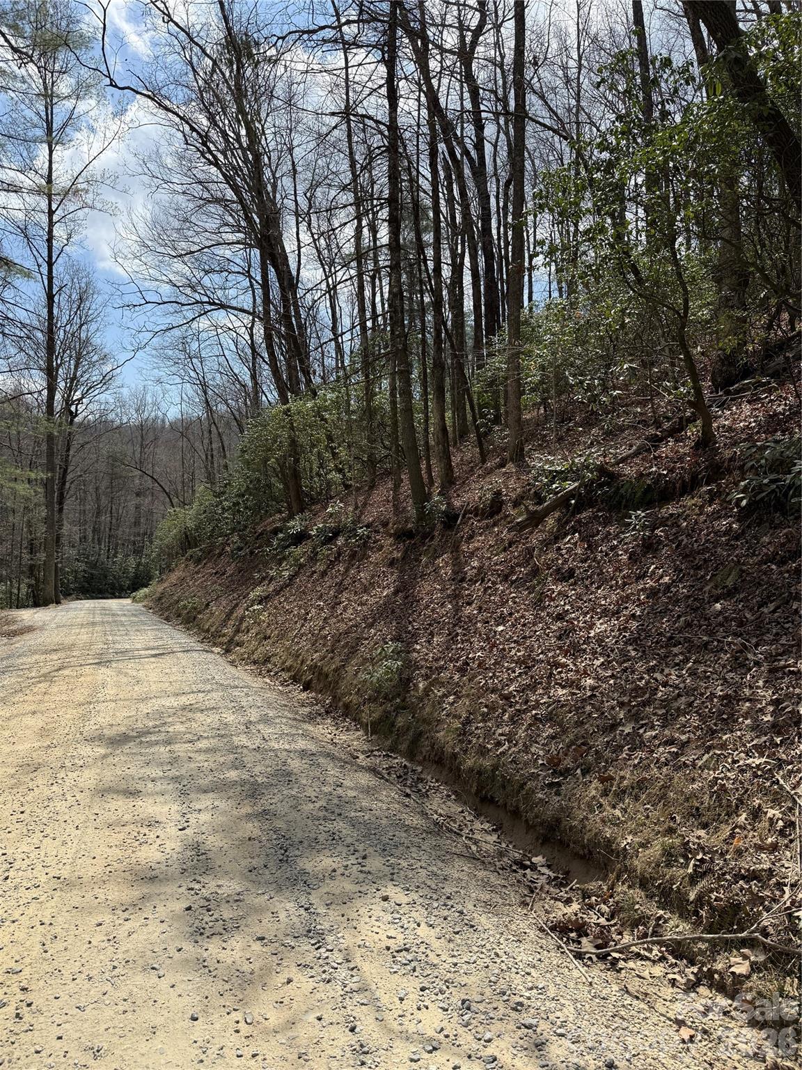 00 Line Runner Ridge Road Property Photo 18