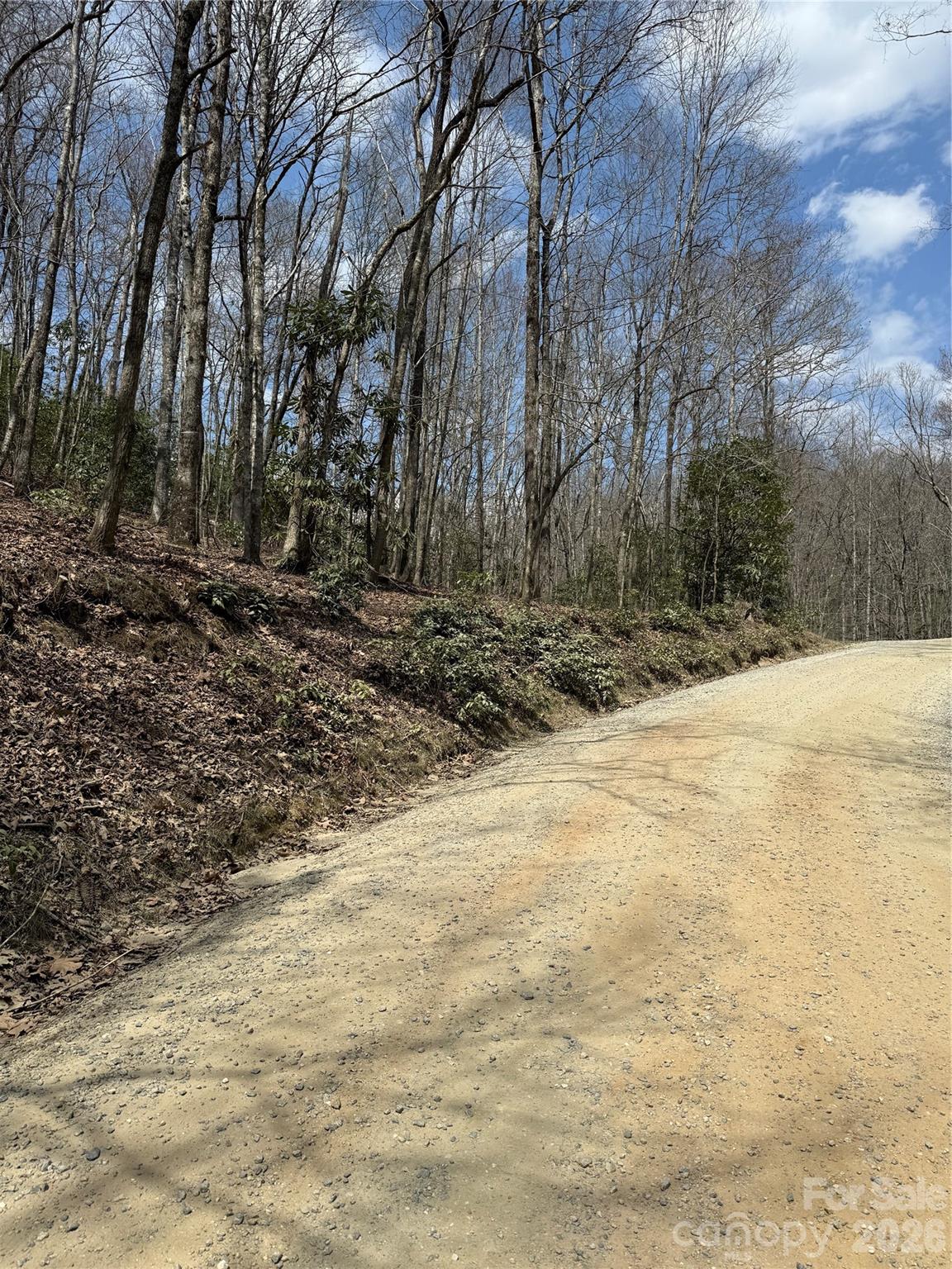 00 Line Runner Ridge Road Property Photo 19