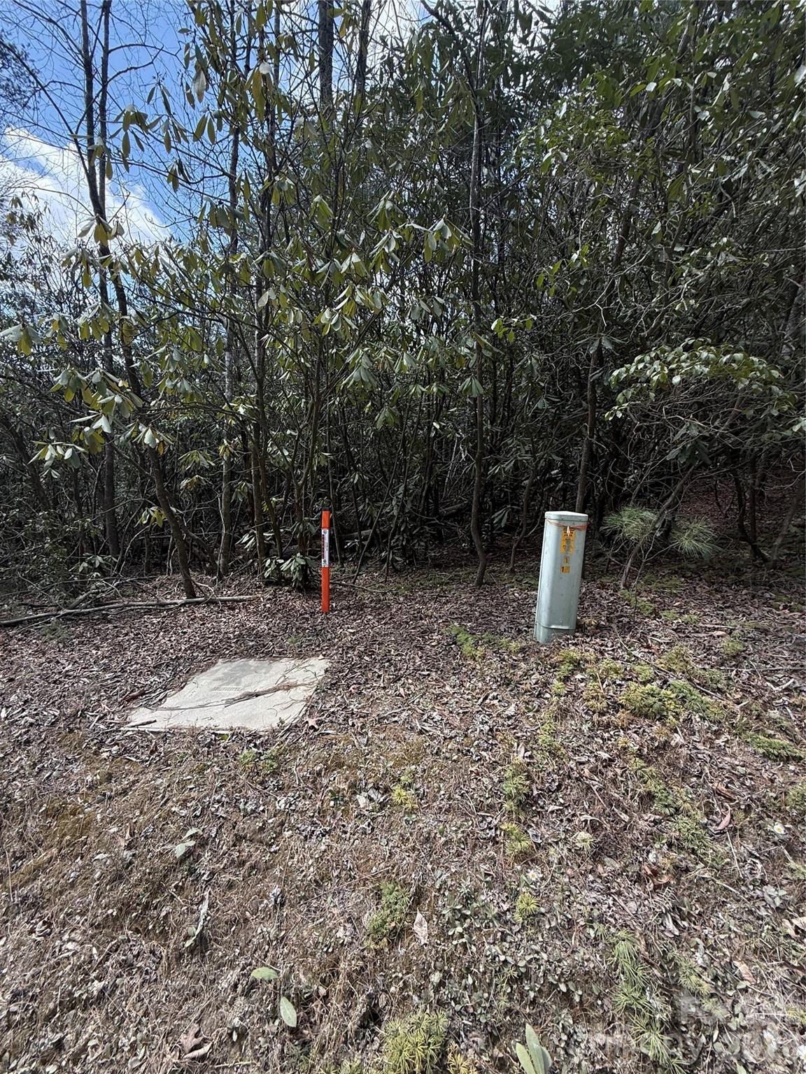 00 Line Runner Ridge Road Property Photo 20