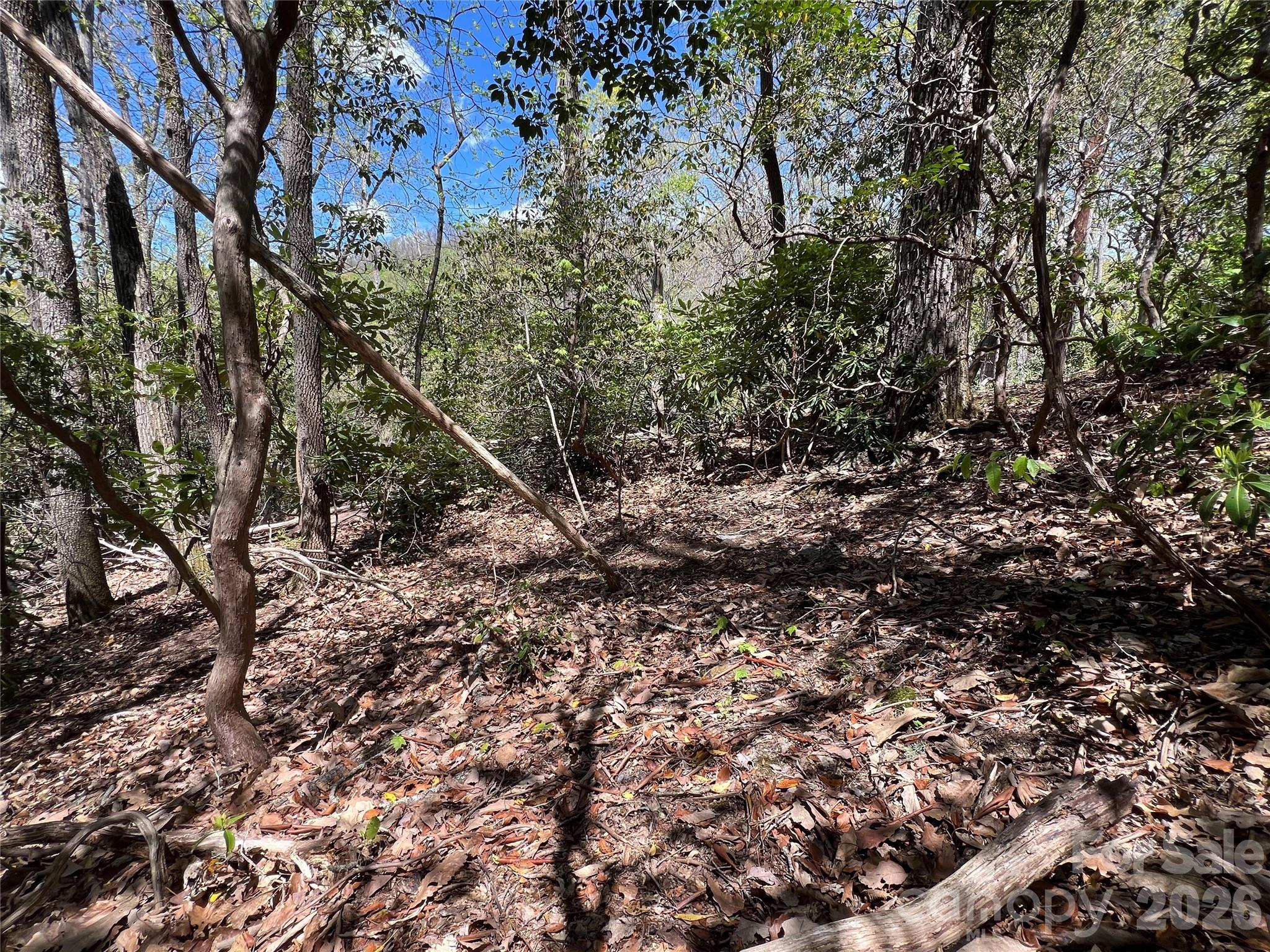 99999 Summer Haven Road Property Photo 1