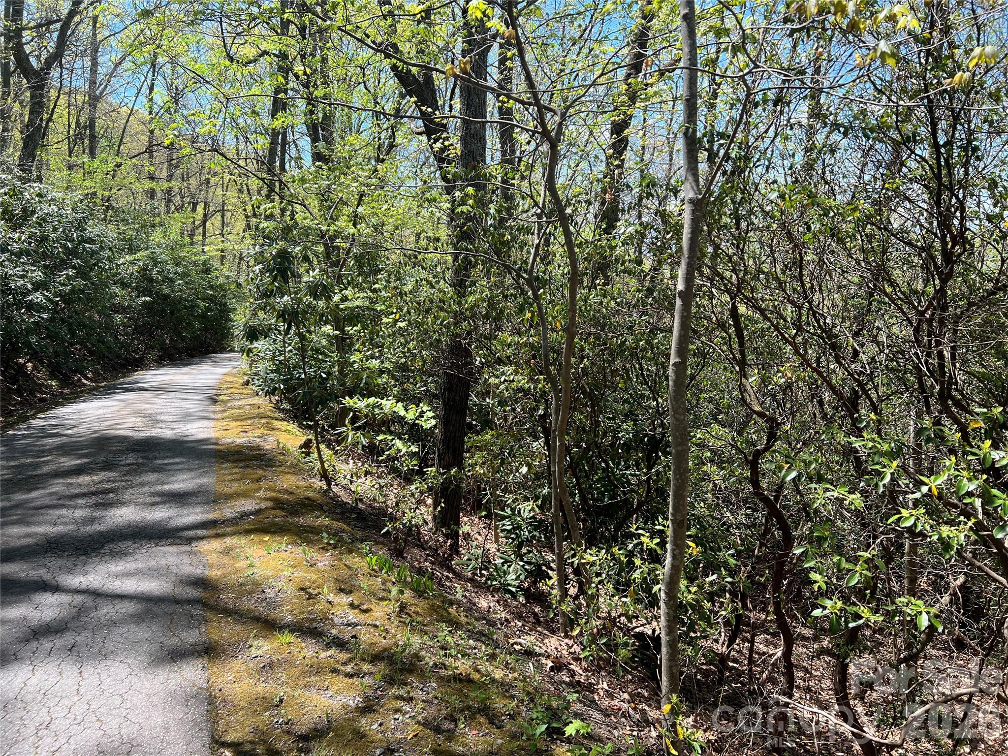 99999 Summer Haven Road Property Photo 2
