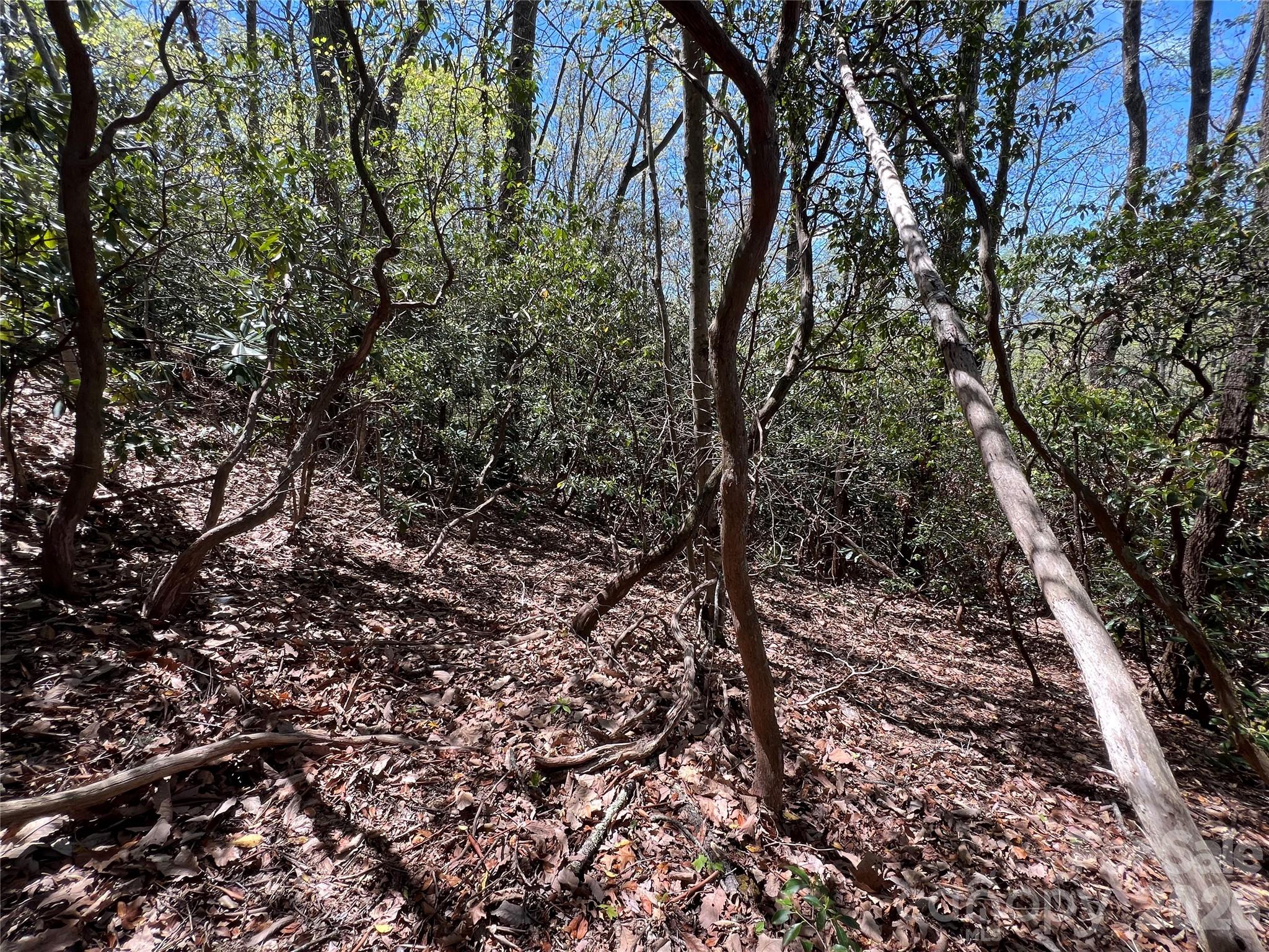 99999 Summer Haven Road Property Photo 3