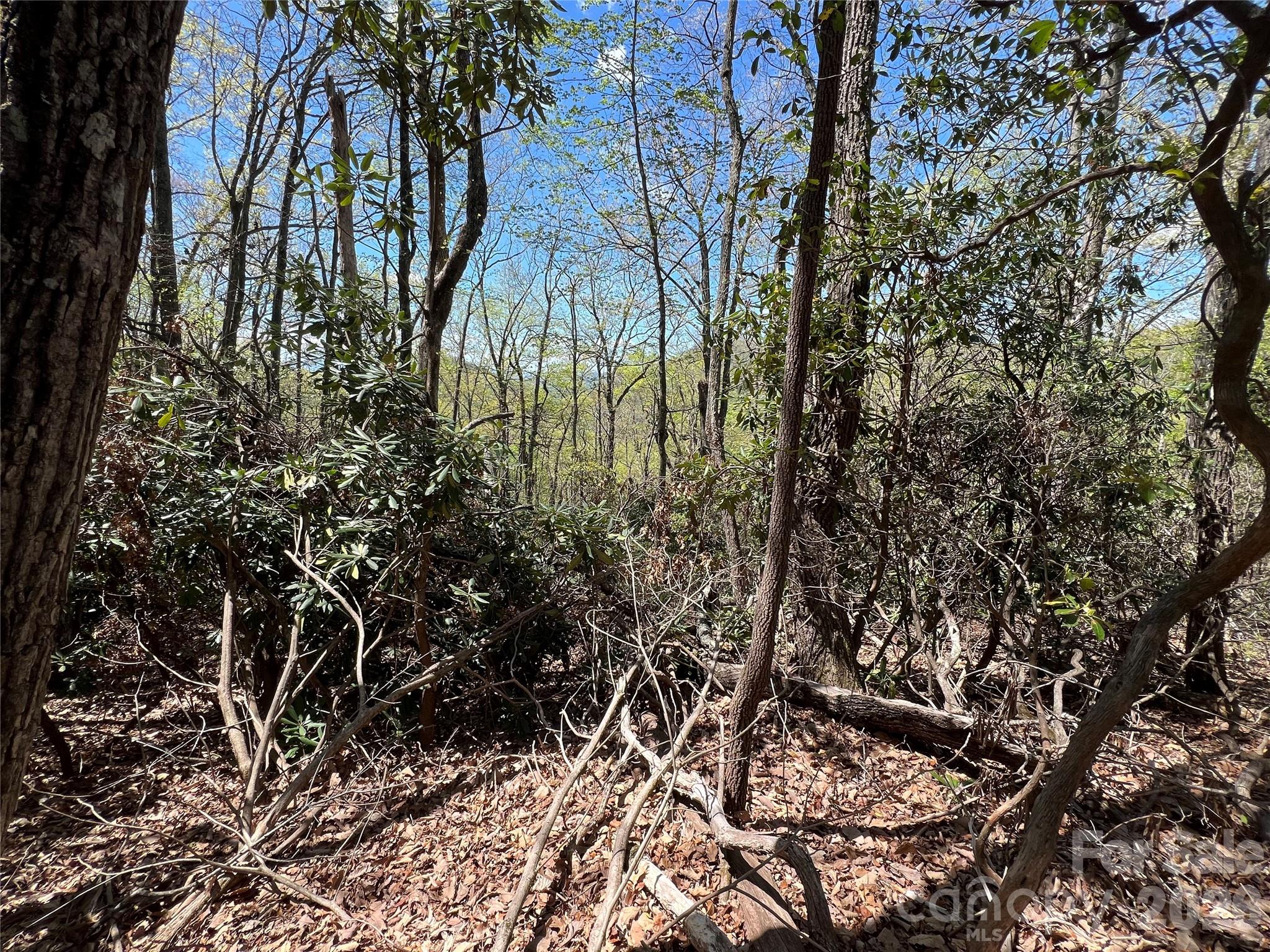99999 Summer Haven Road Property Photo 4