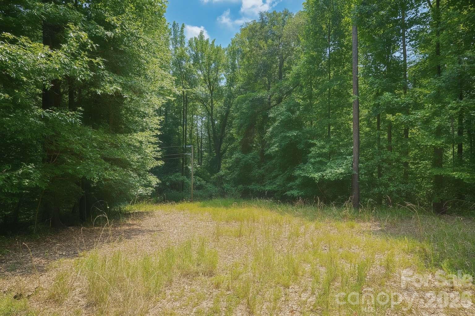 00 Blackwell Drive Property Photo 6