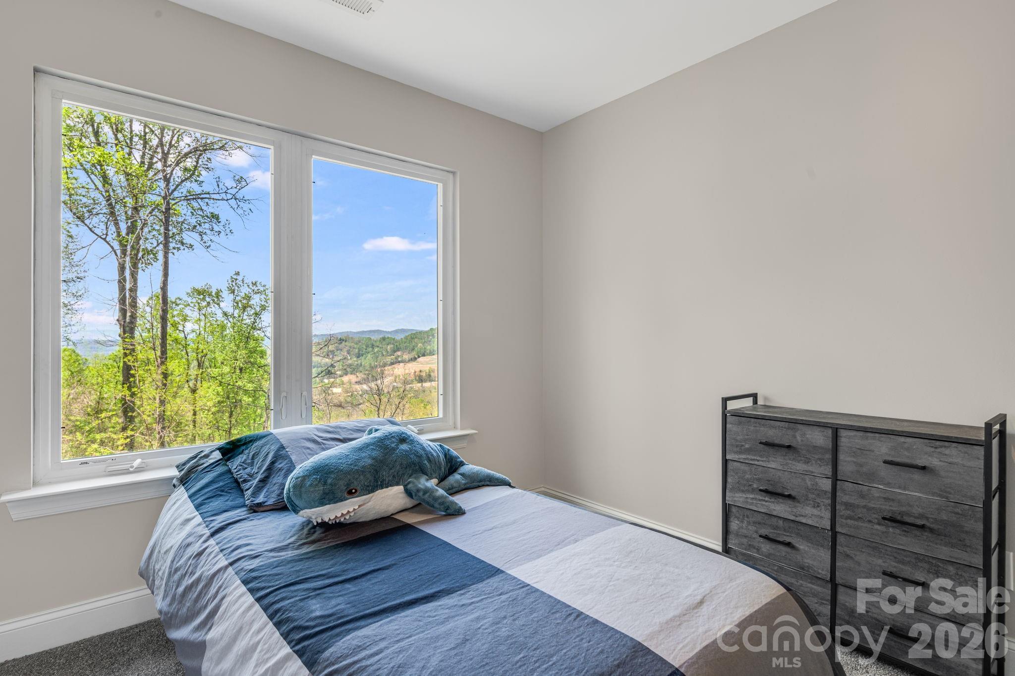 35 Chesten Mountain Drive Property Photo 30