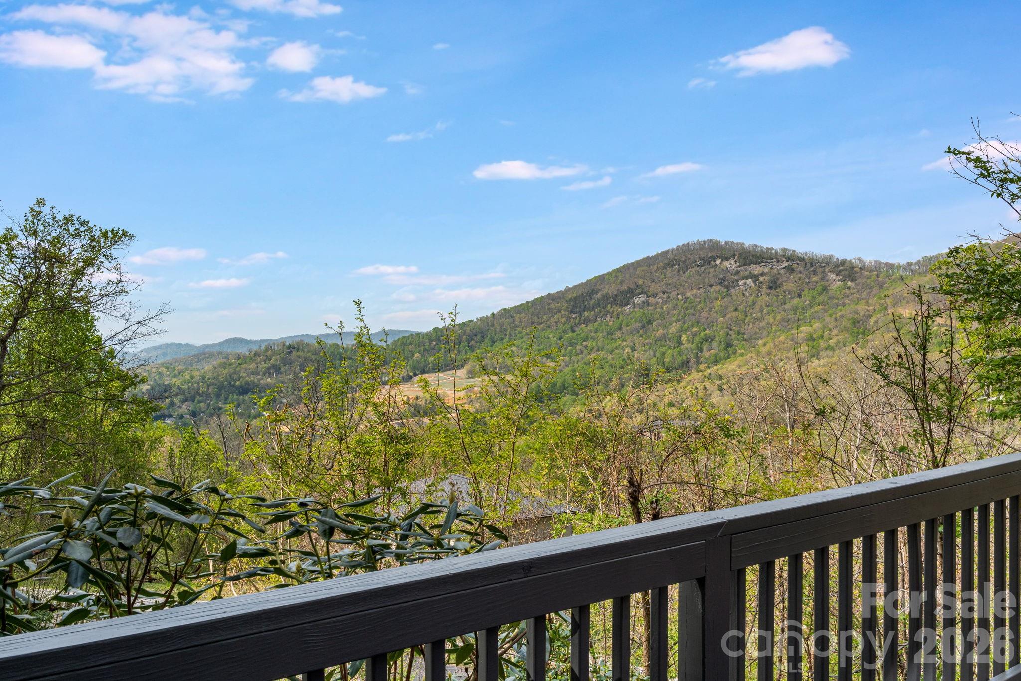 35 Chesten Mountain Drive Property Photo 36
