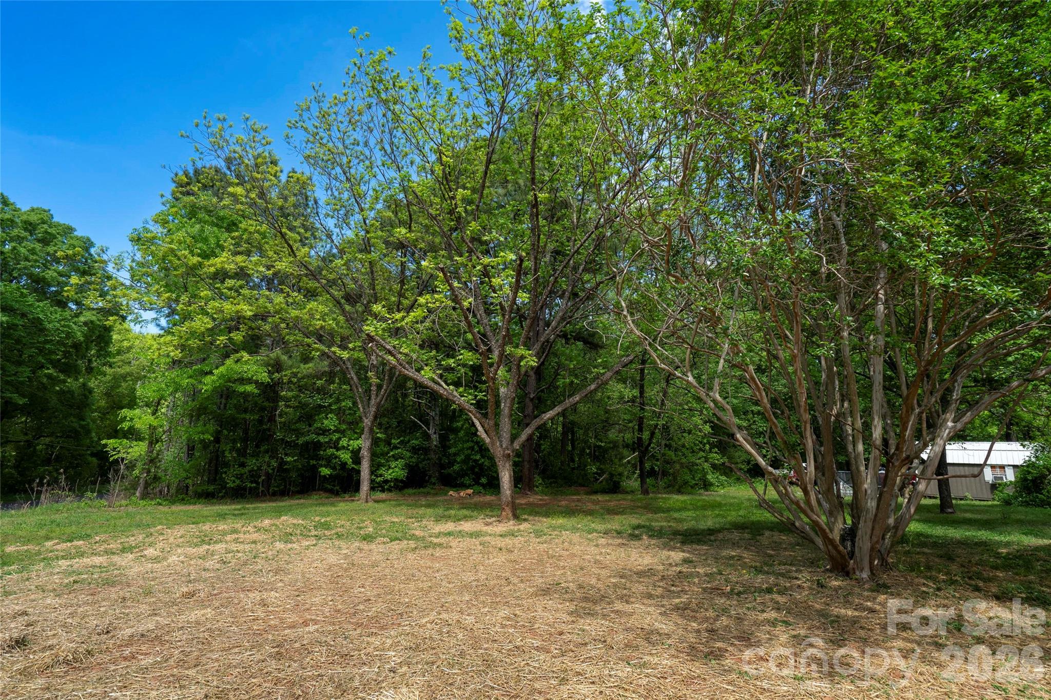 435 Mahaffey Drive Property Photo 27