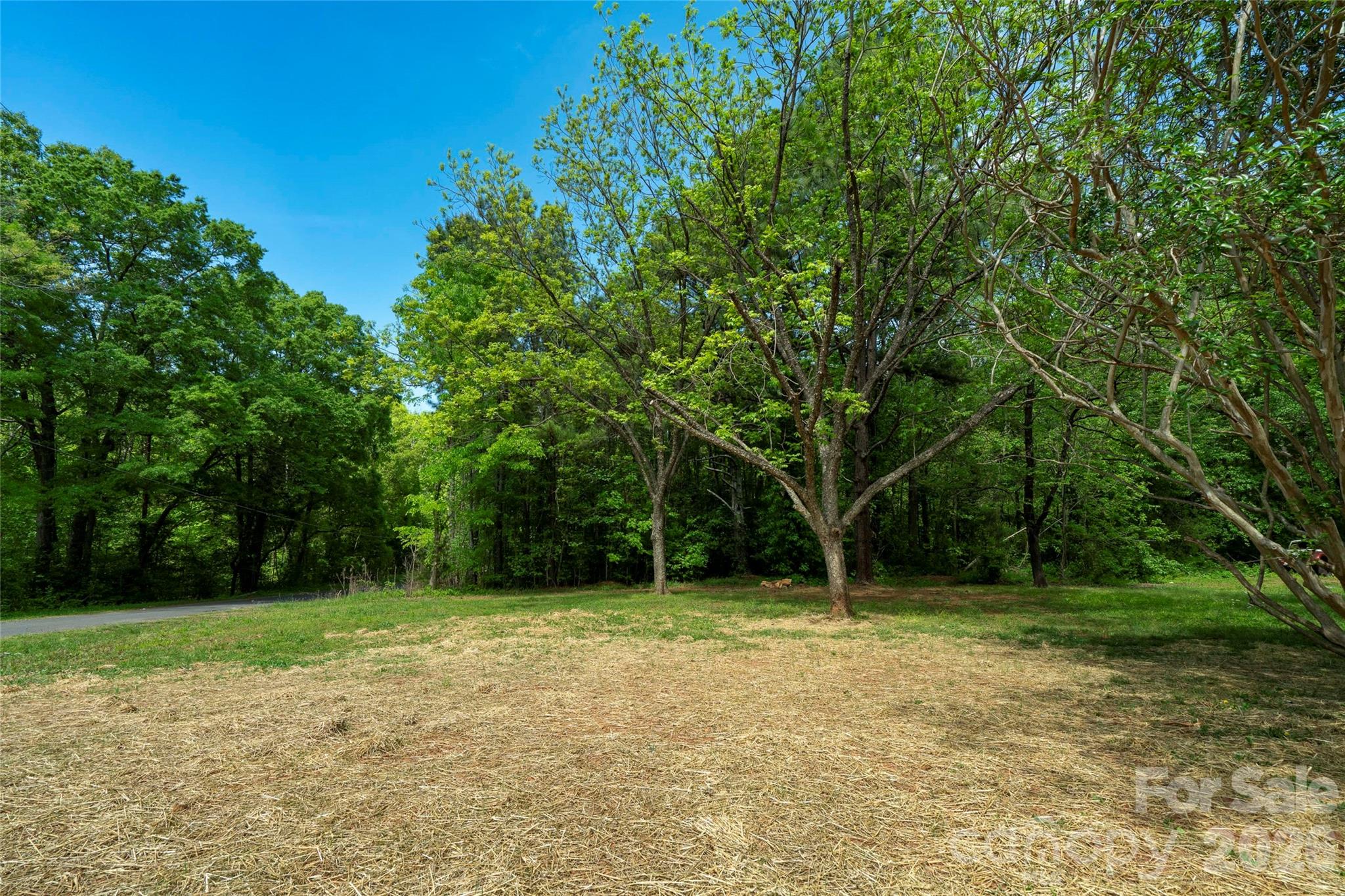 435 Mahaffey Drive Property Photo 29