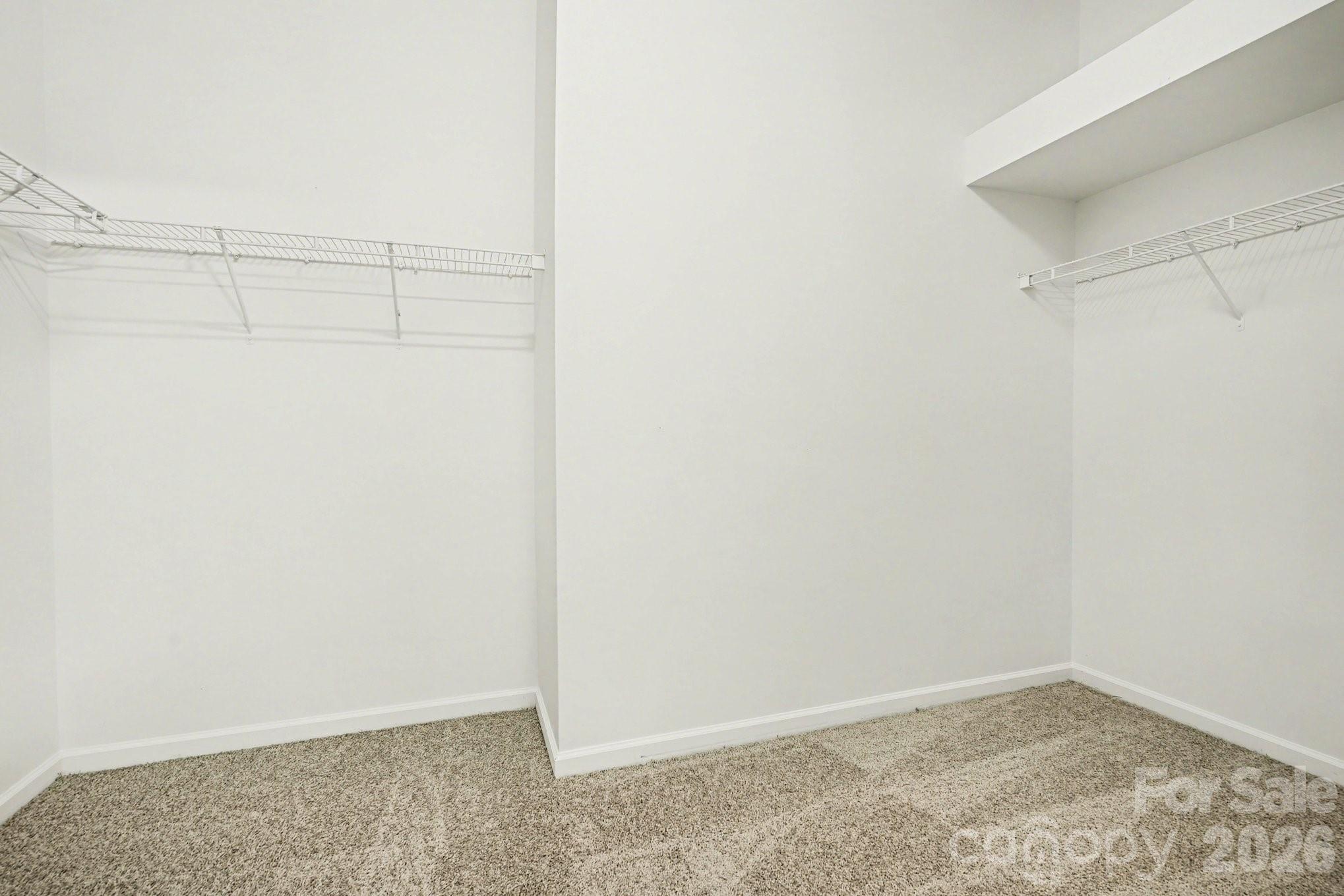6005 Pale Moss Lane Property Photo 20