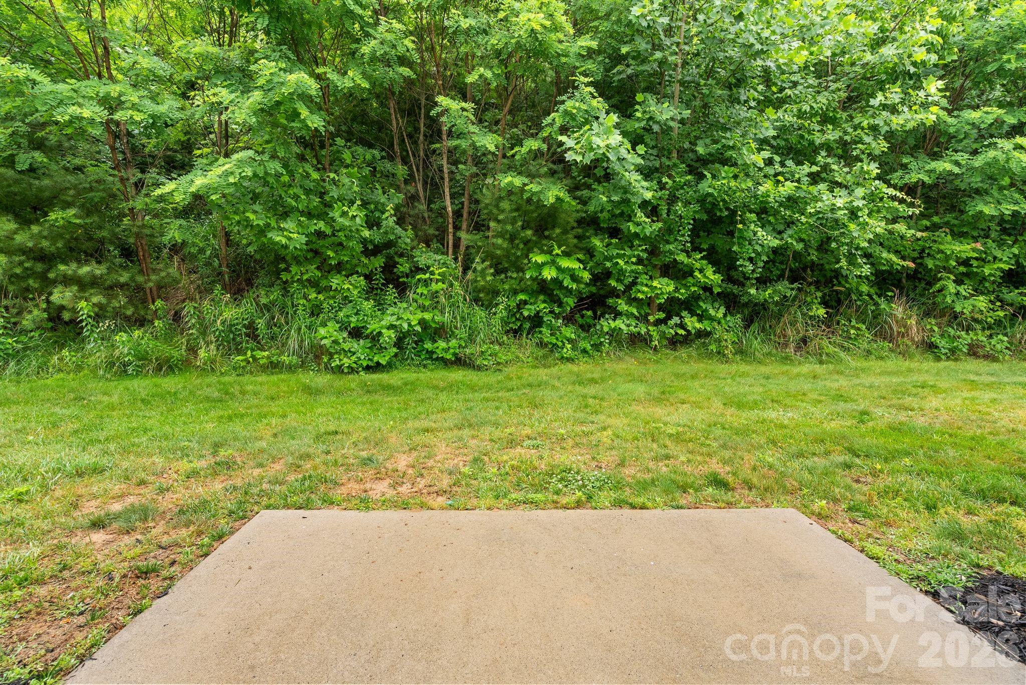 120 Alpine Ridge Drive Property Photo 27