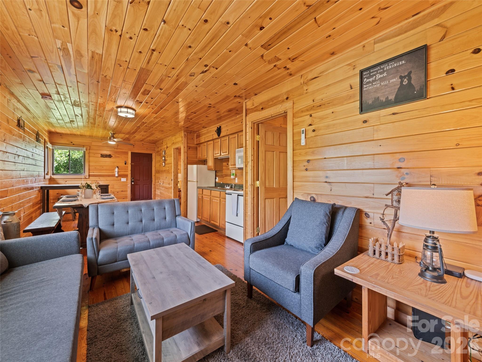299 Blue Ridge Parkway Property Photo 3