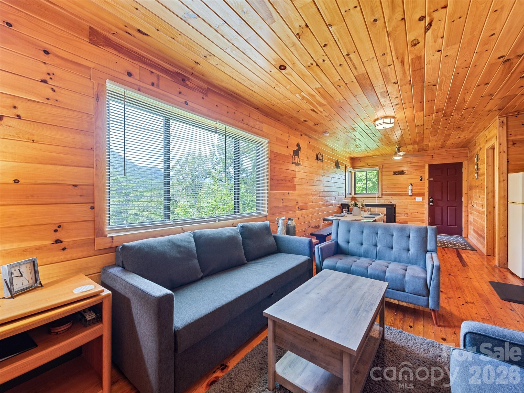 299 Blue Ridge Parkway Property Photo 4