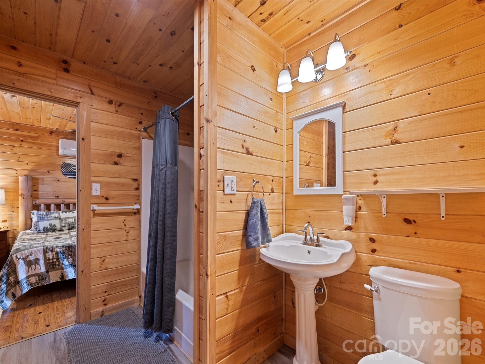 299 Blue Ridge Parkway Property Photo 16