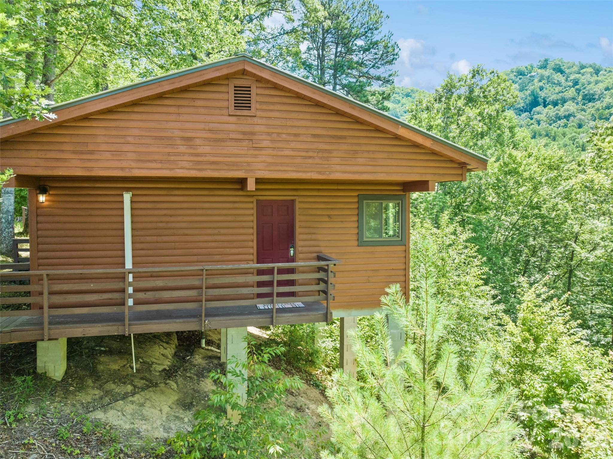 299 Blue Ridge Parkway Property Photo 19