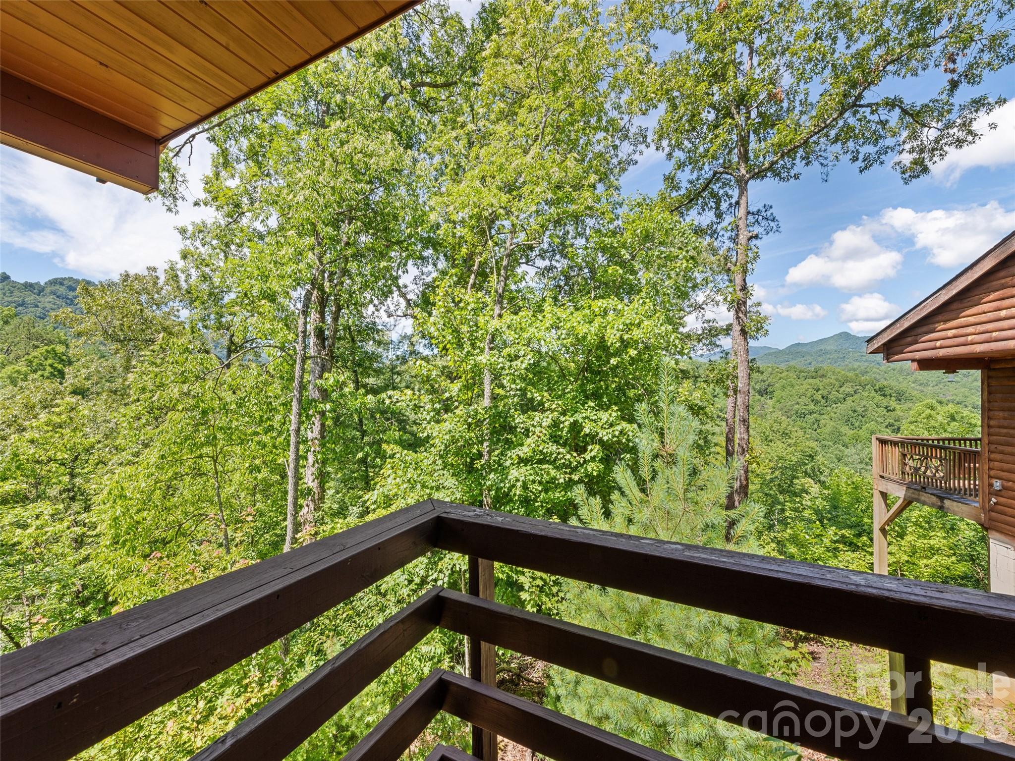 299 Blue Ridge Parkway Property Photo 22
