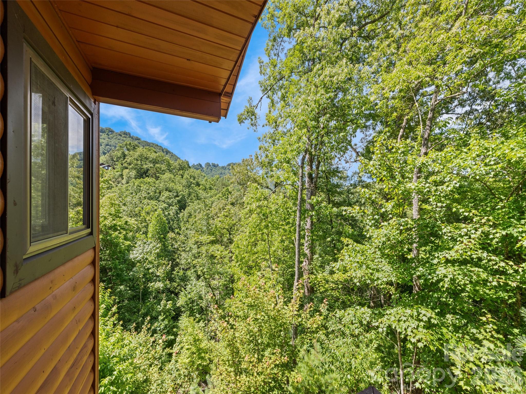 299 Blue Ridge Parkway Property Photo 23