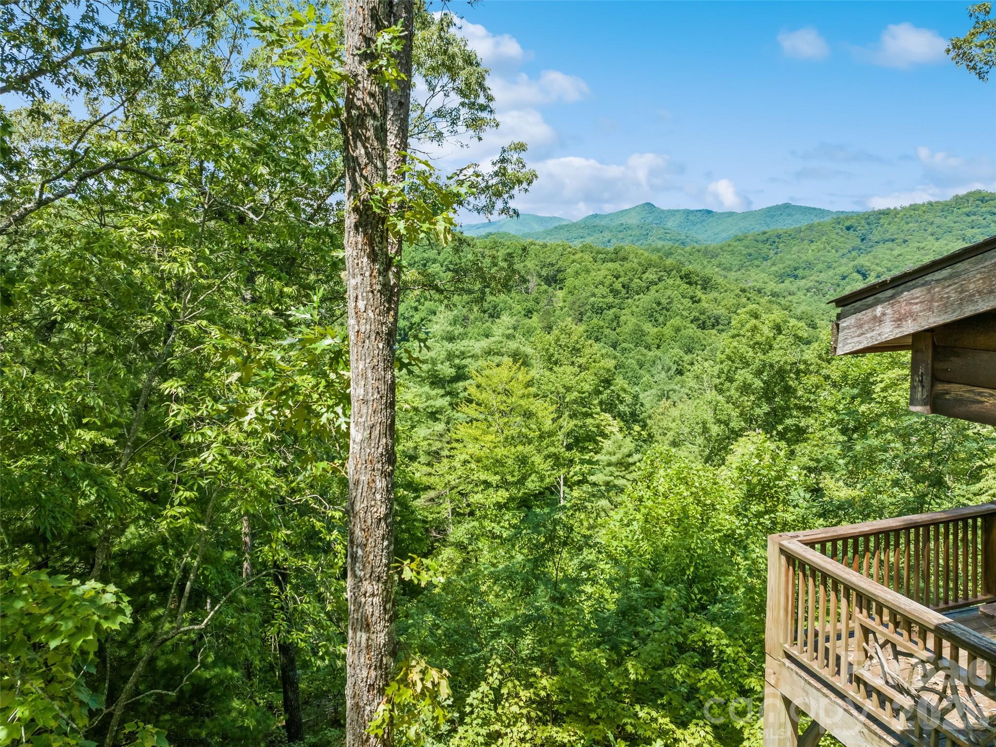 299 Blue Ridge Parkway Property Photo 24