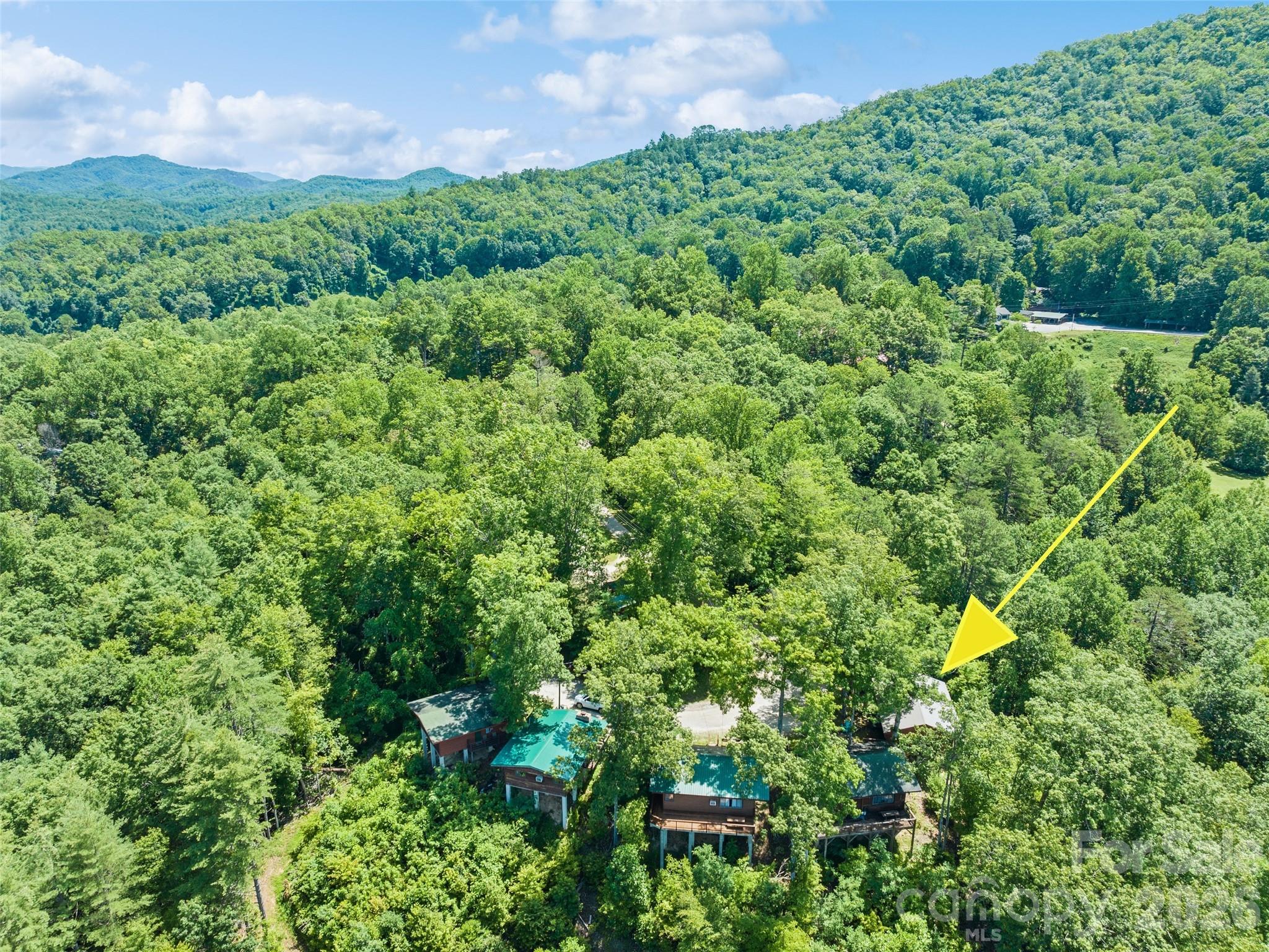 299 Blue Ridge Parkway Property Photo 26