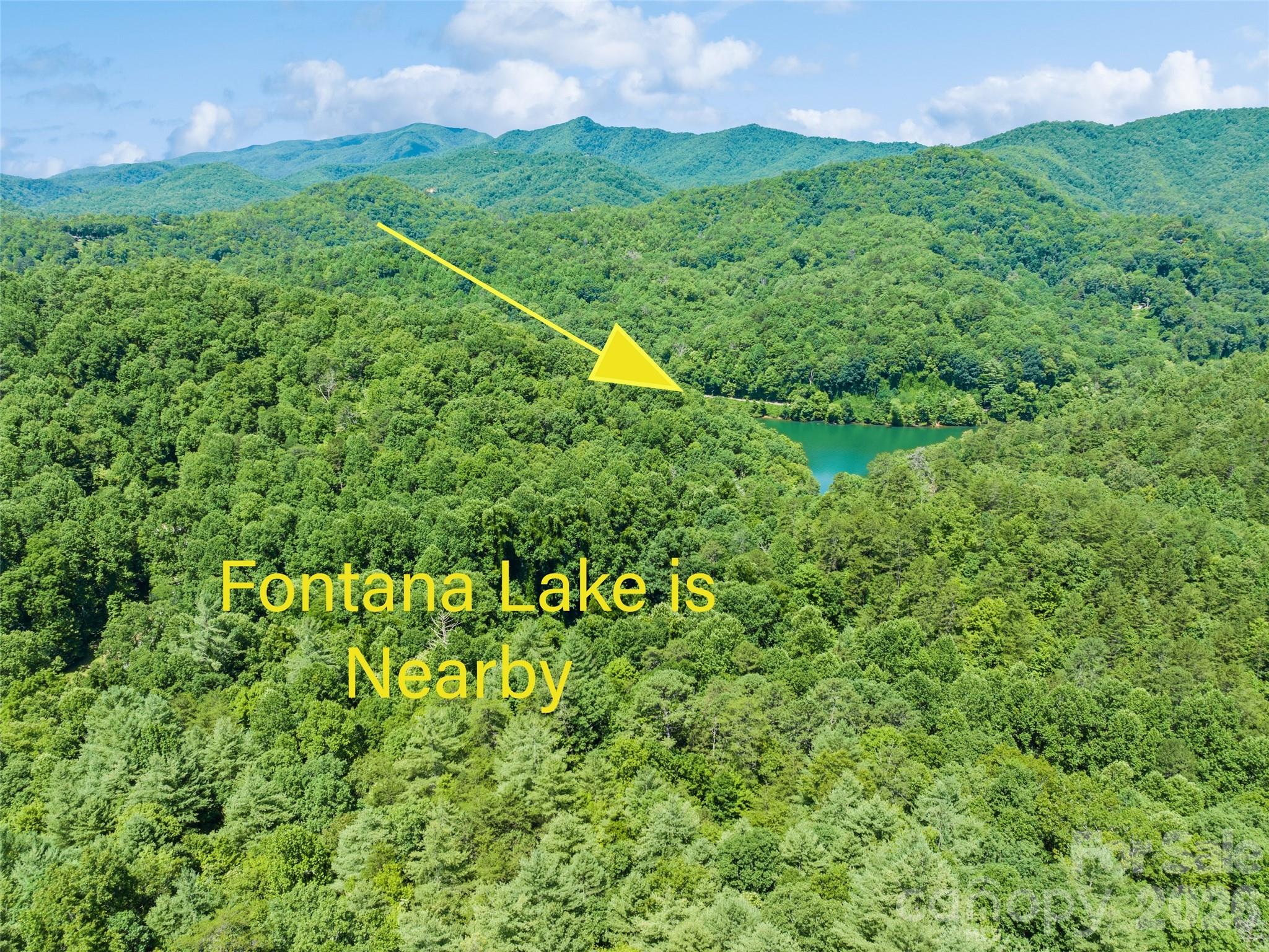 299 Blue Ridge Parkway Property Photo 27