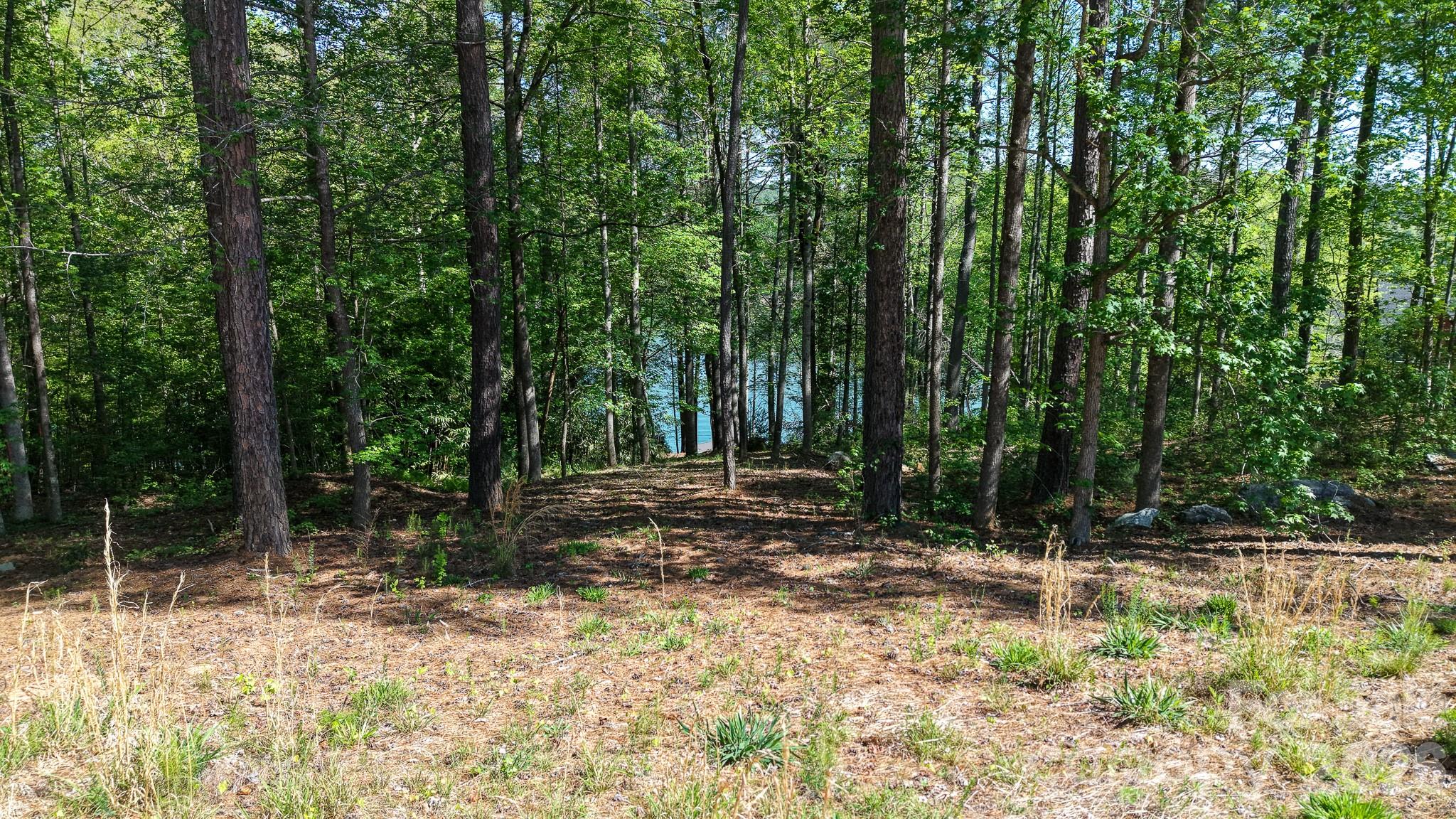 105 Beacon Ridge Drive Property Photo 18
