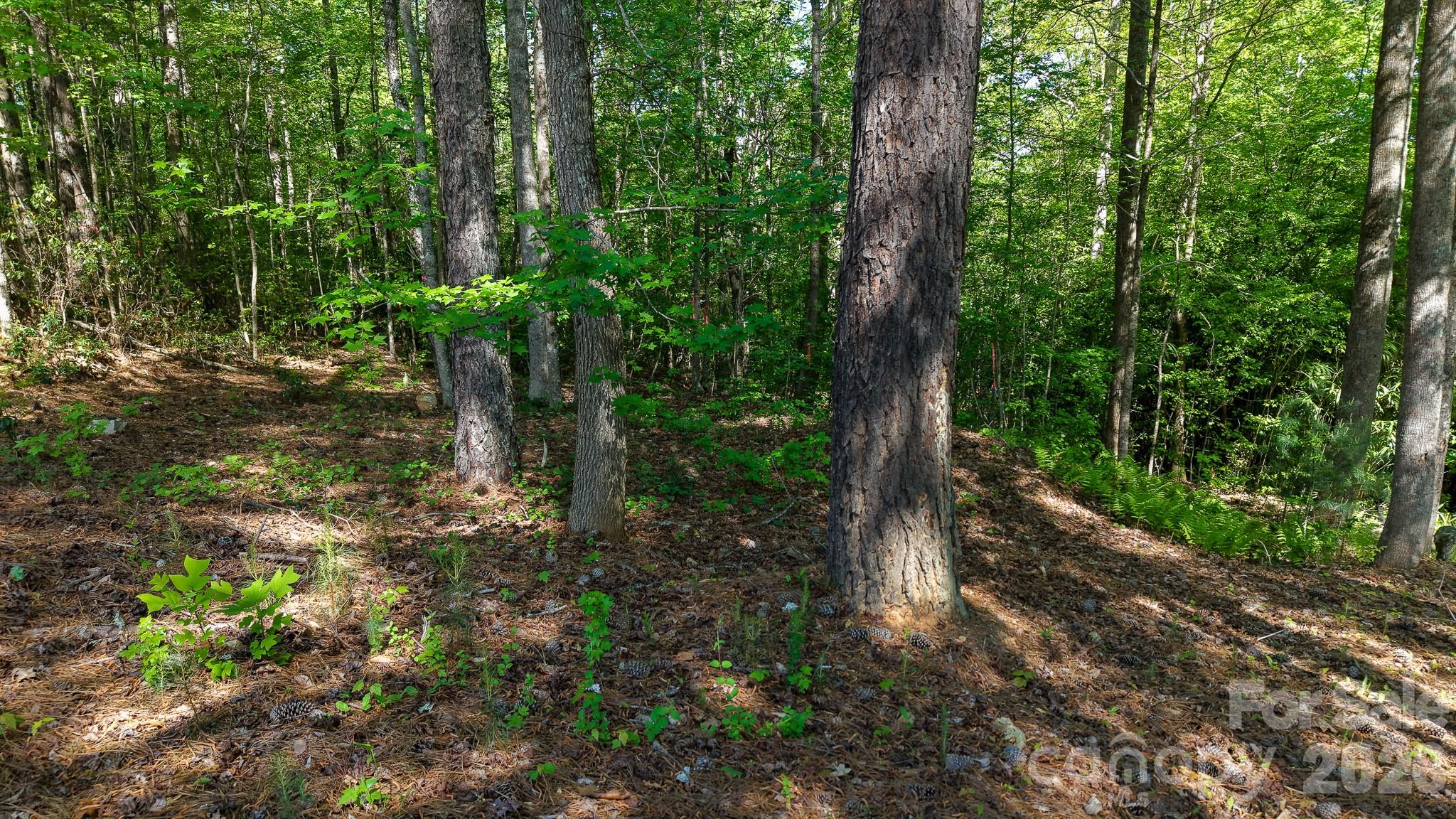 105 Beacon Ridge Drive Property Photo 19
