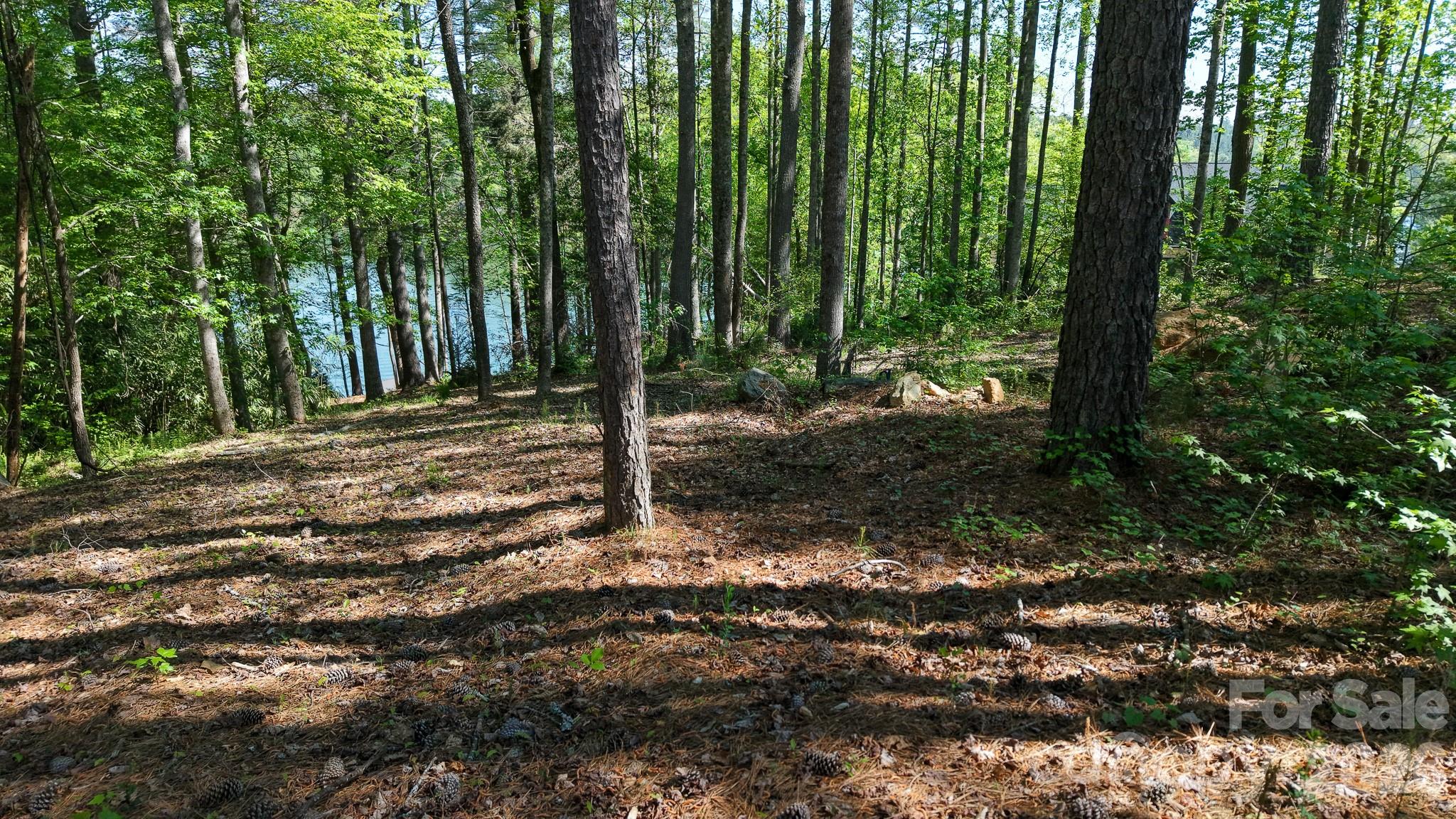 105 Beacon Ridge Drive Property Photo 20