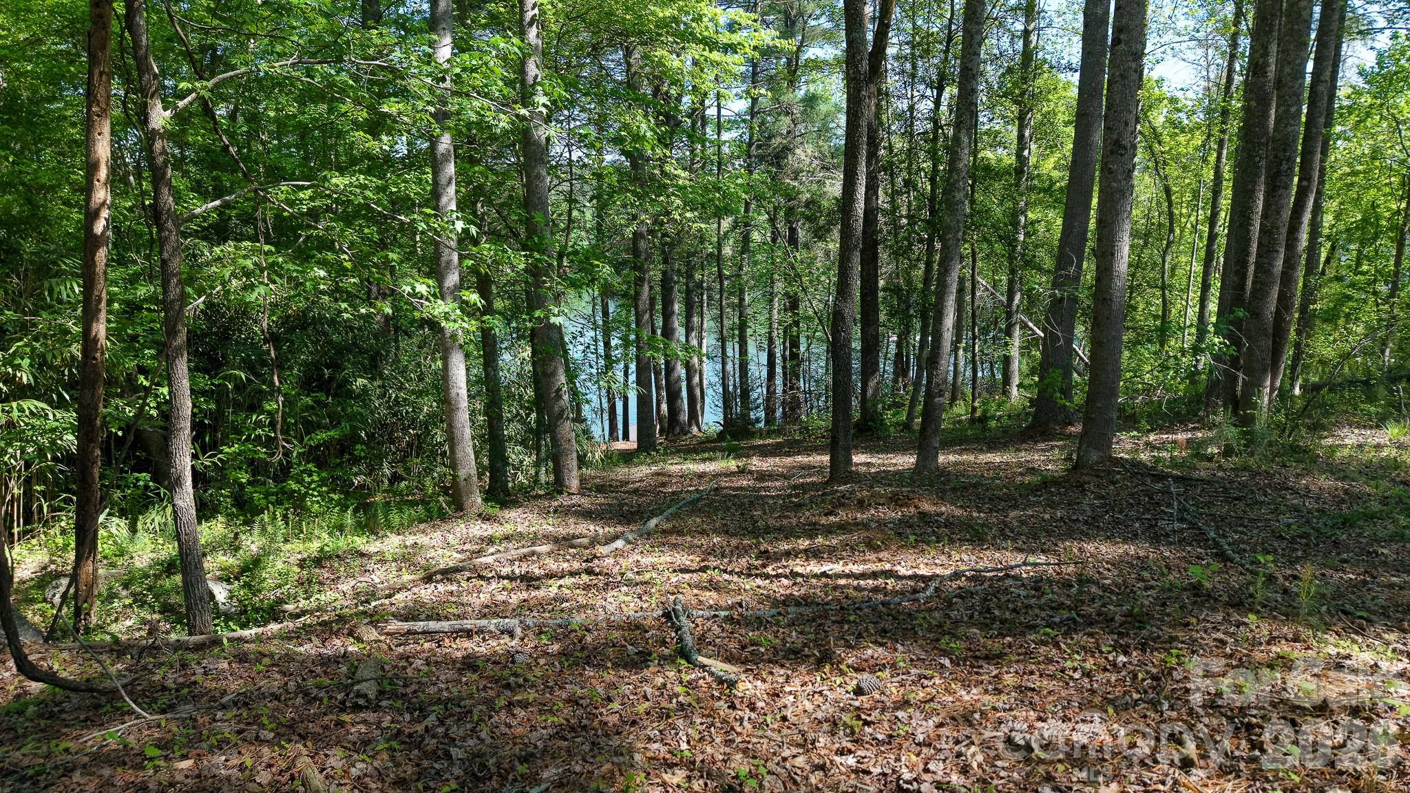 105 Beacon Ridge Drive Property Photo 21
