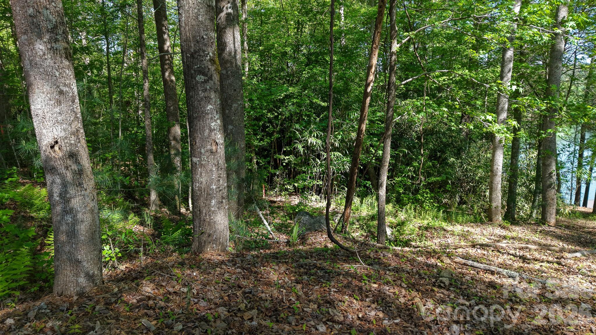 105 Beacon Ridge Drive Property Photo 22