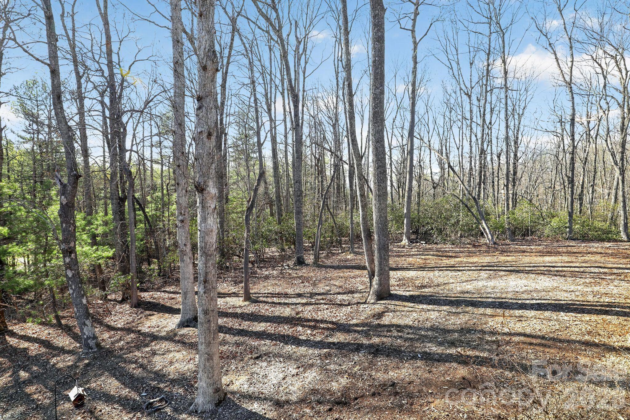 3757 Laurel Park Highway Property Photo 5