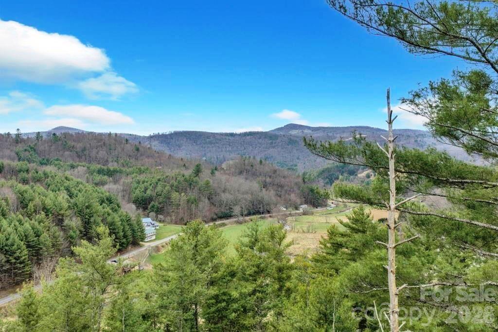 Tbd Hwy 321 Highway Property Photo 3