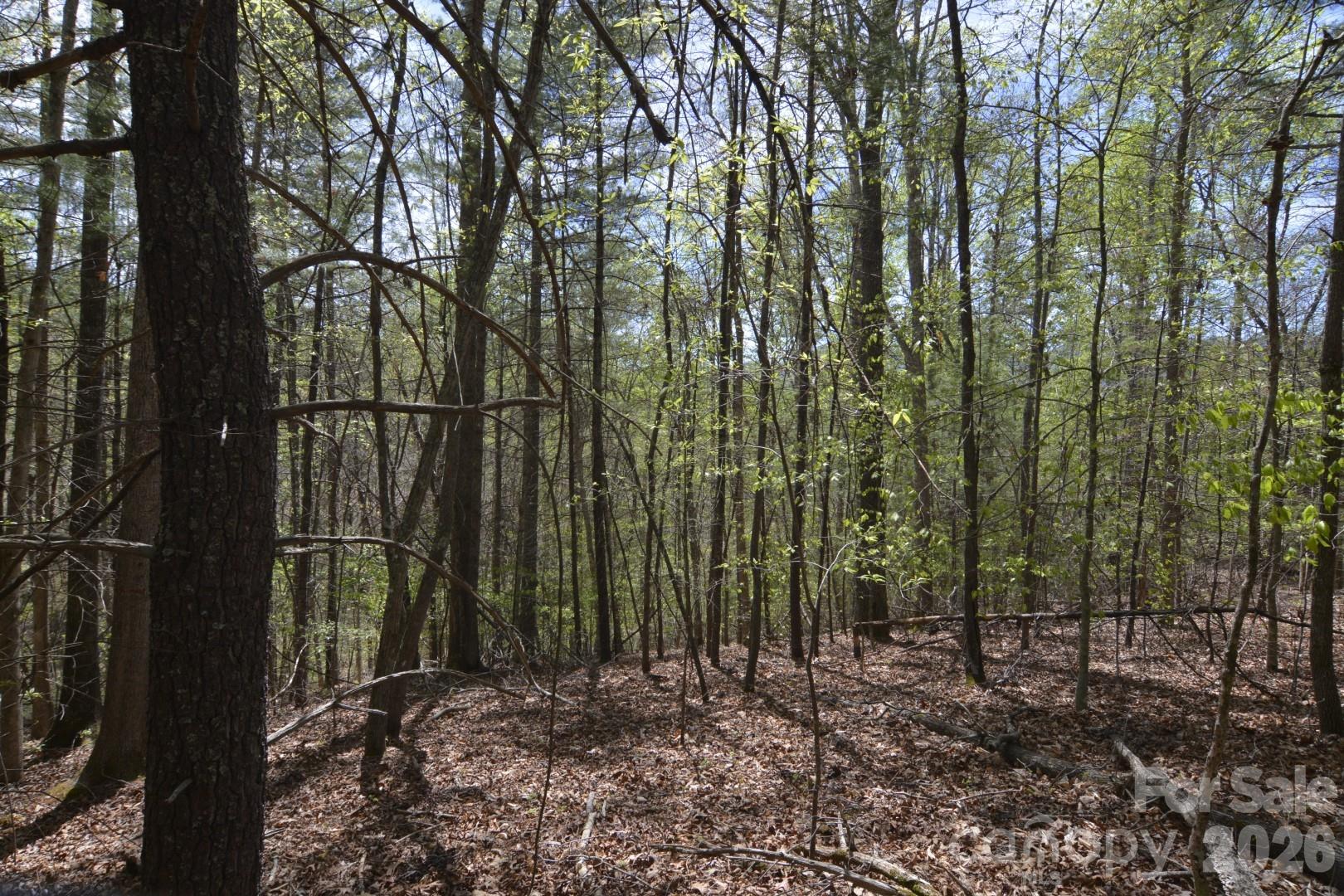 00 Garnet Drive Property Photo 12