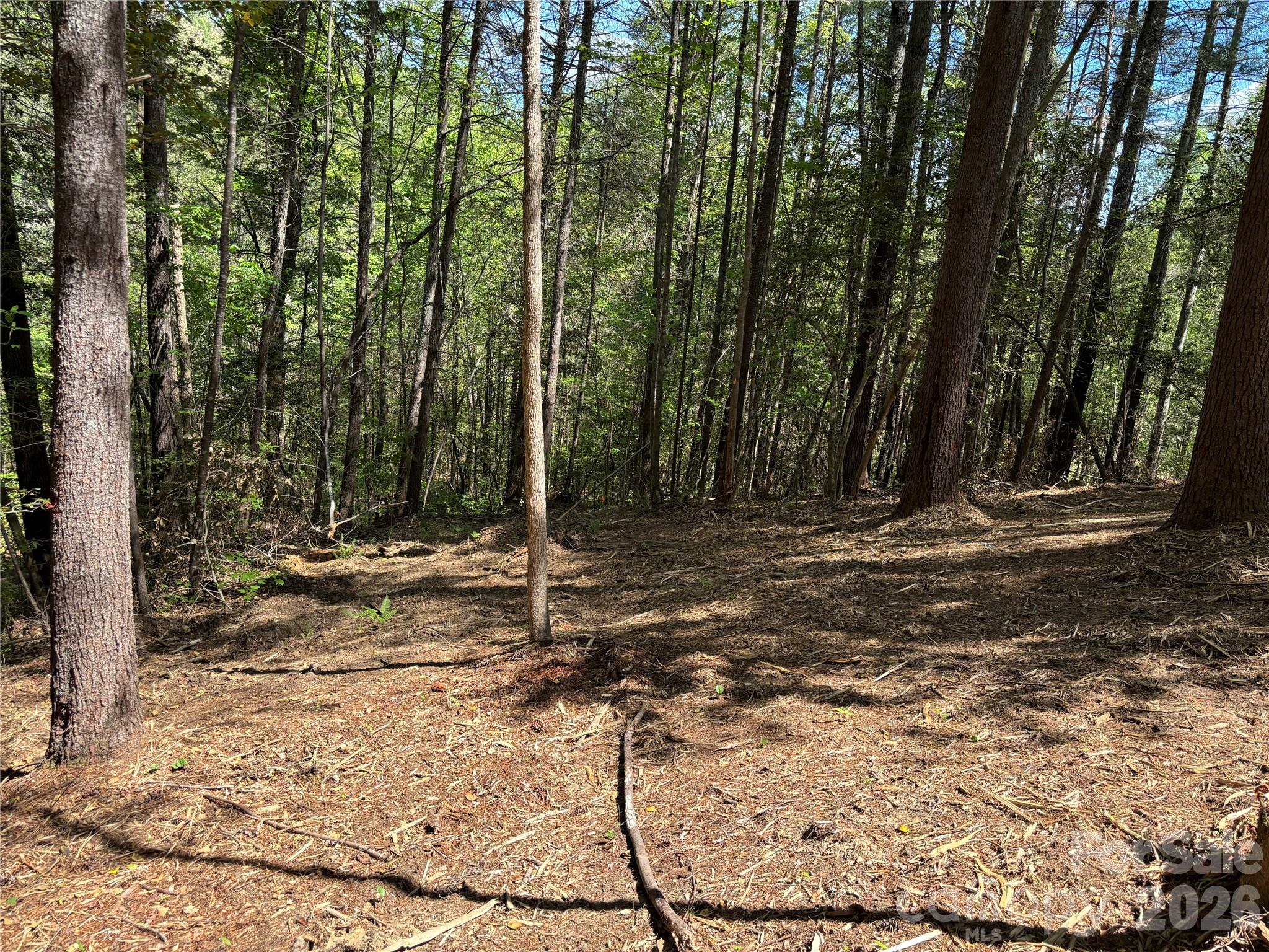 1665 Round Mountain Parkway 69 Property Photo 1