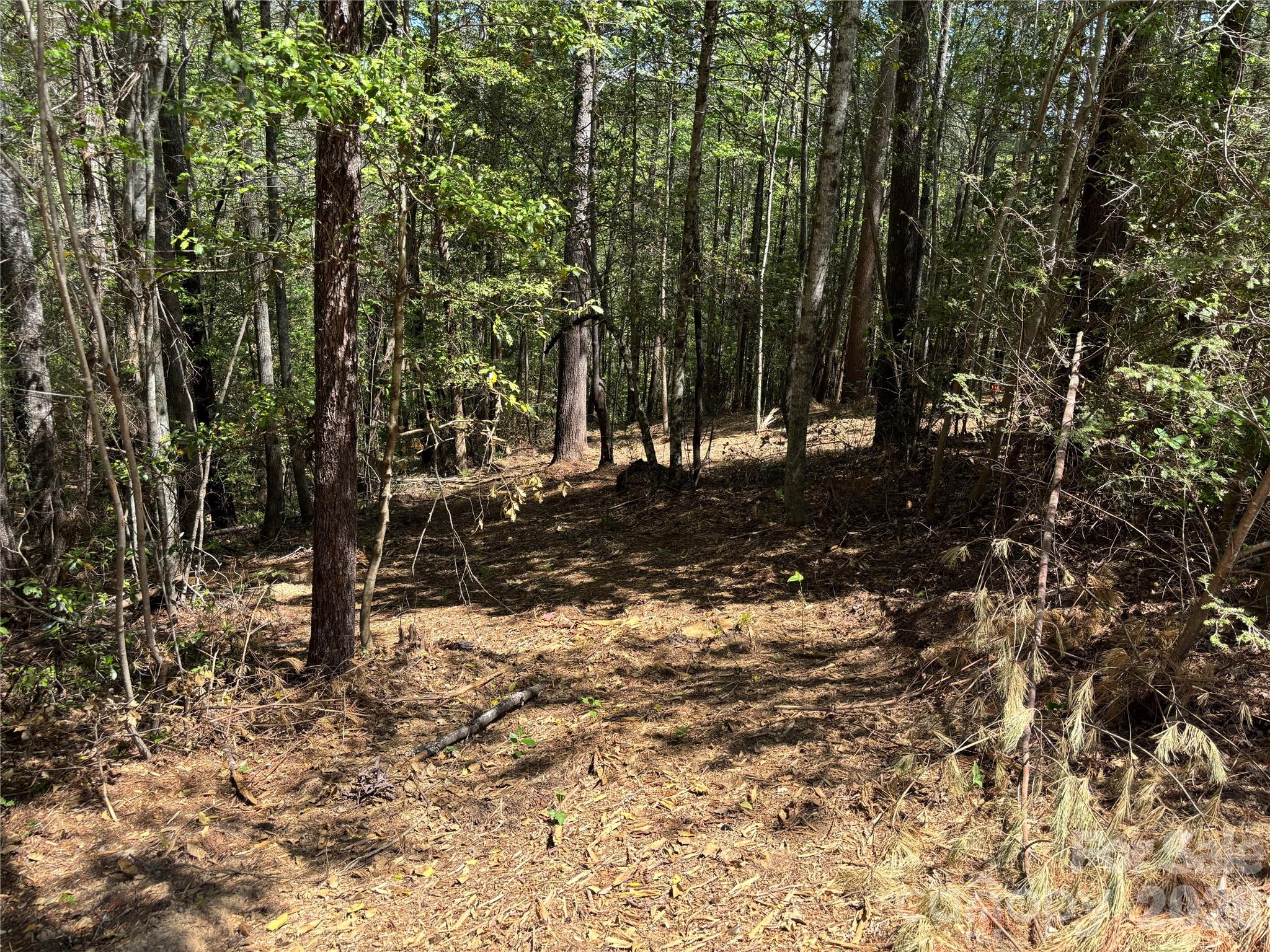 1665 Round Mountain Parkway 69 Property Photo 2