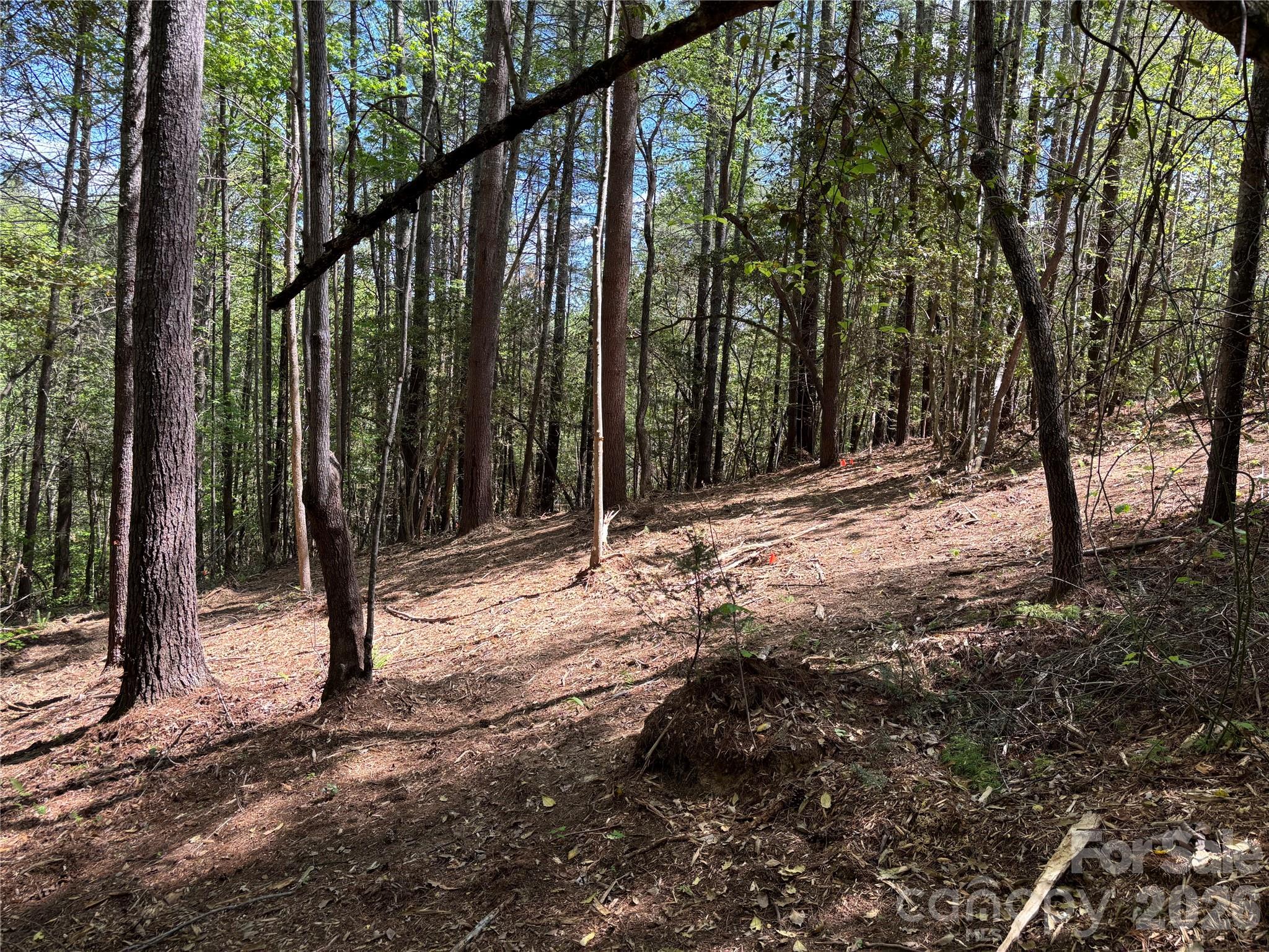 1665 Round Mountain Parkway 69 Property Photo 3