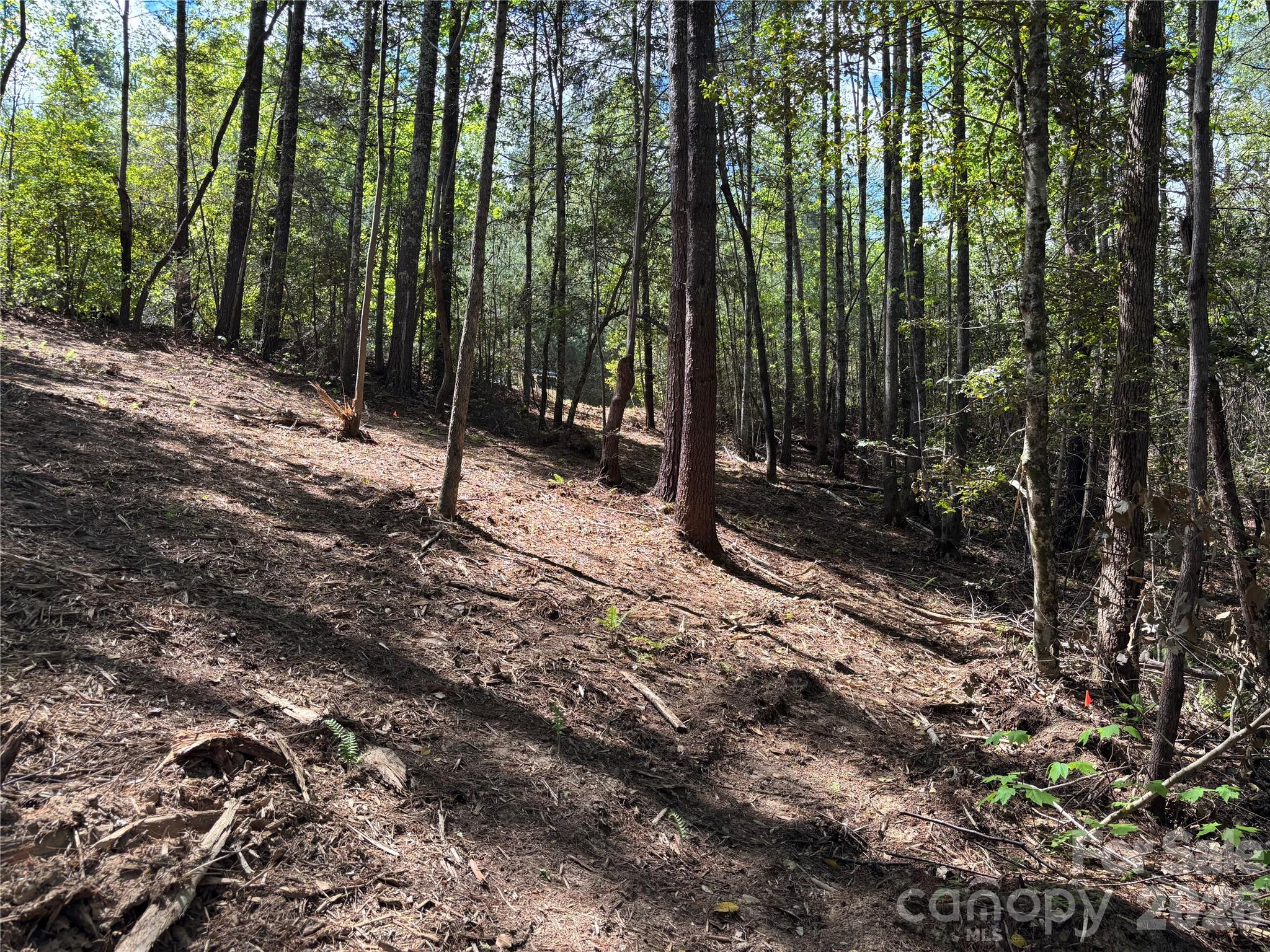 1665 Round Mountain Parkway 69 Property Photo 4