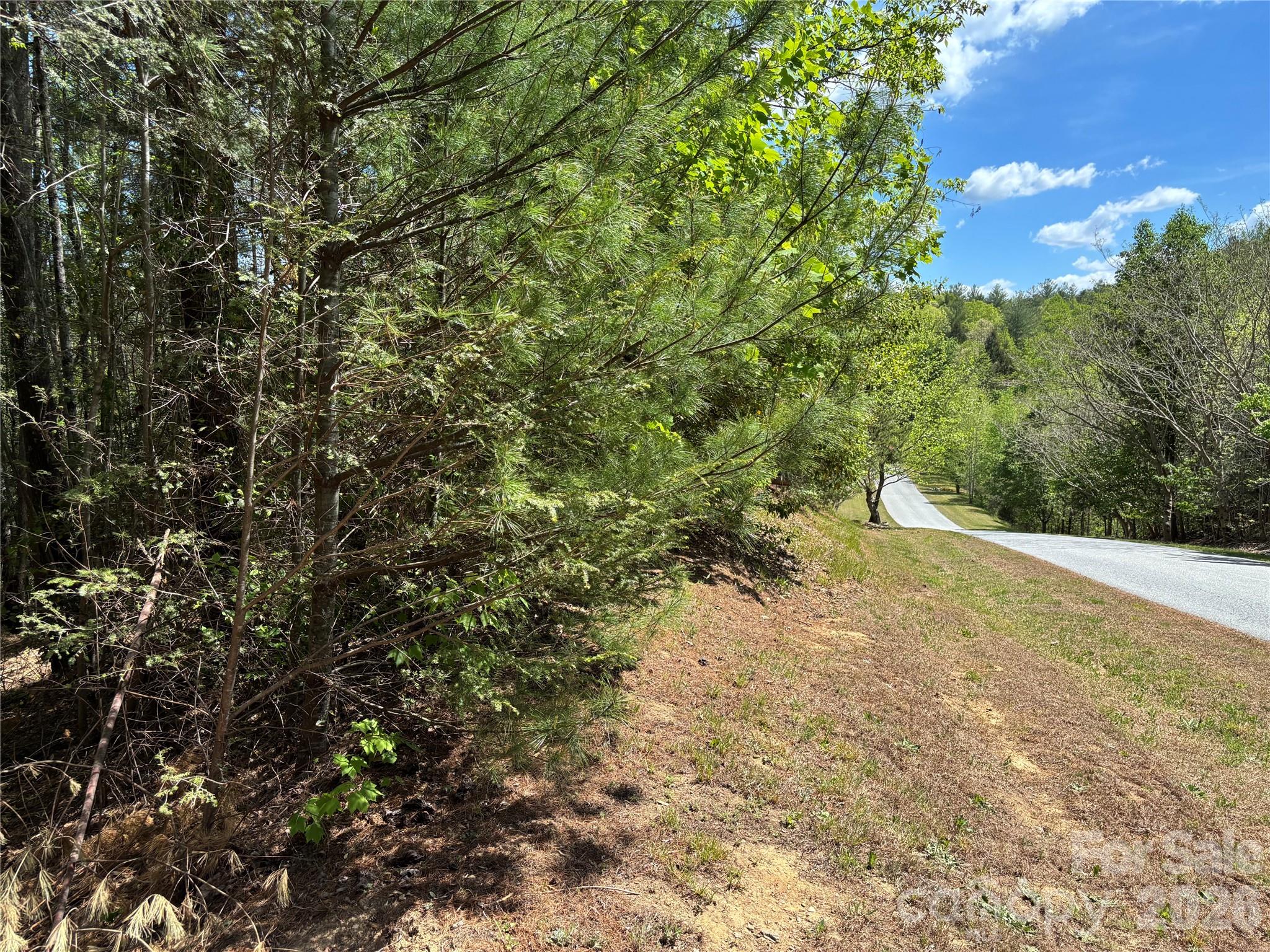 1665 Round Mountain Parkway 69 Property Photo 5