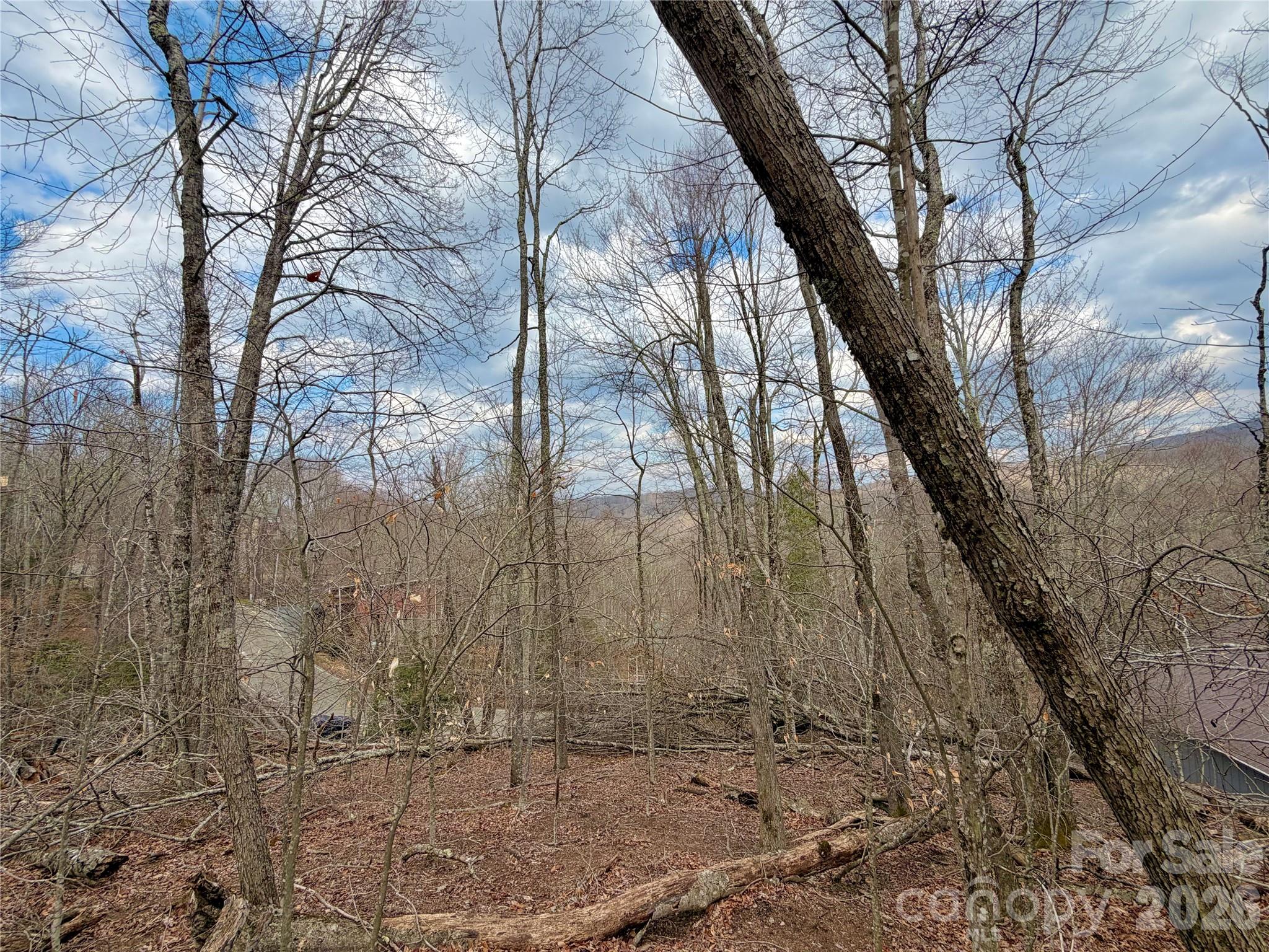 218 Lake Road Property Photo 6