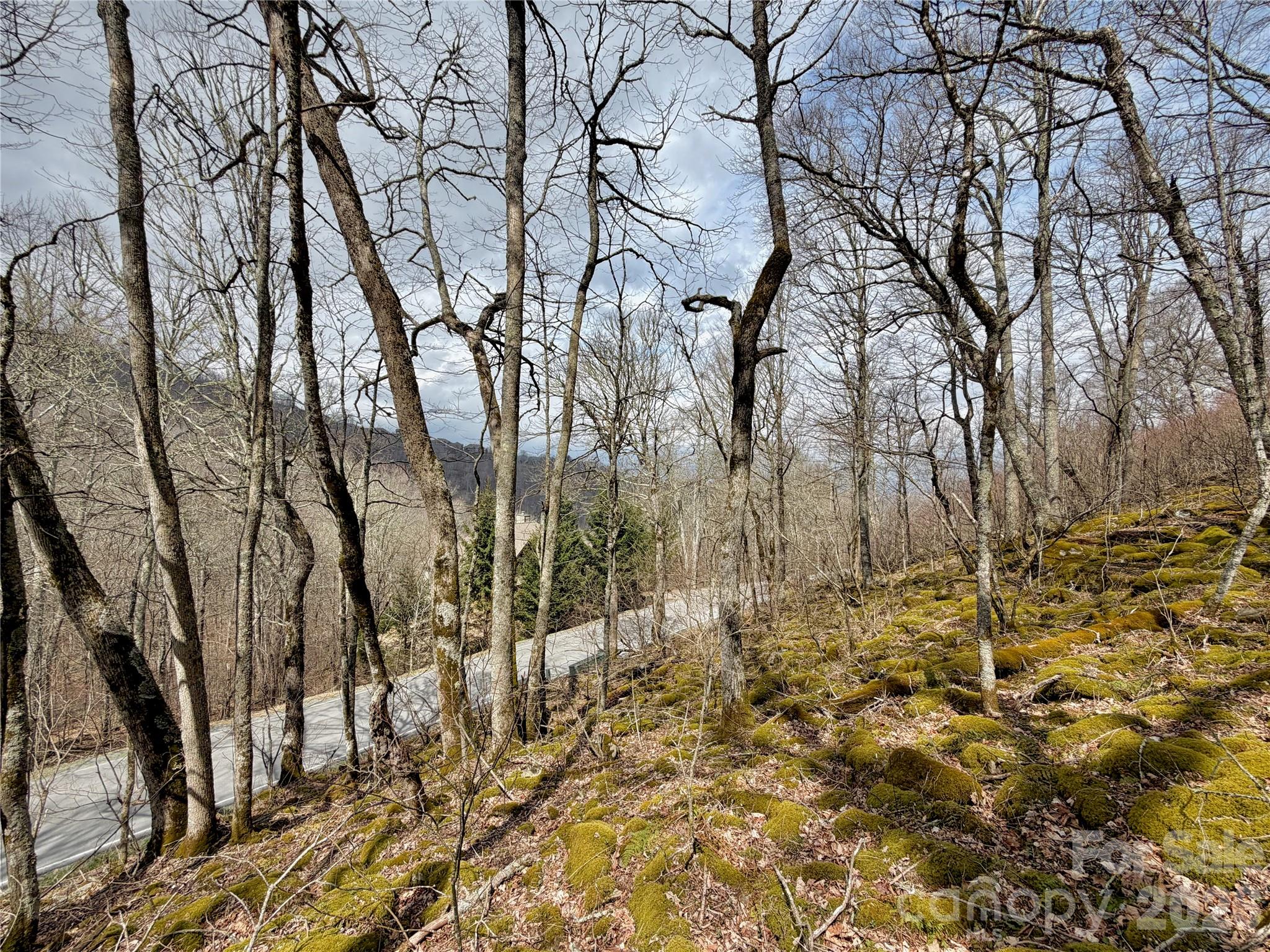 Tbd Grouse Moor Drive Property Photo 10