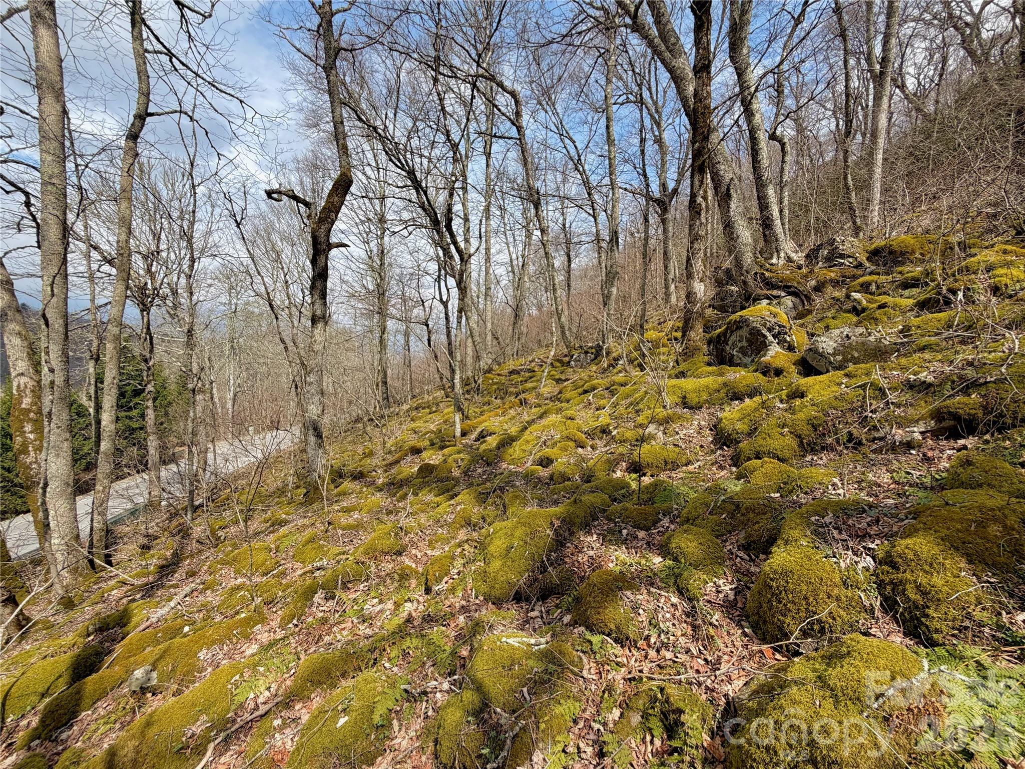 Tbd Grouse Moor Drive Property Photo 11