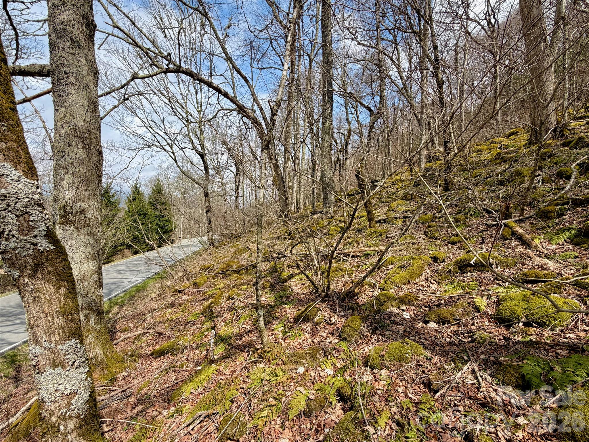 Tbd Grouse Moor Drive Property Photo 12