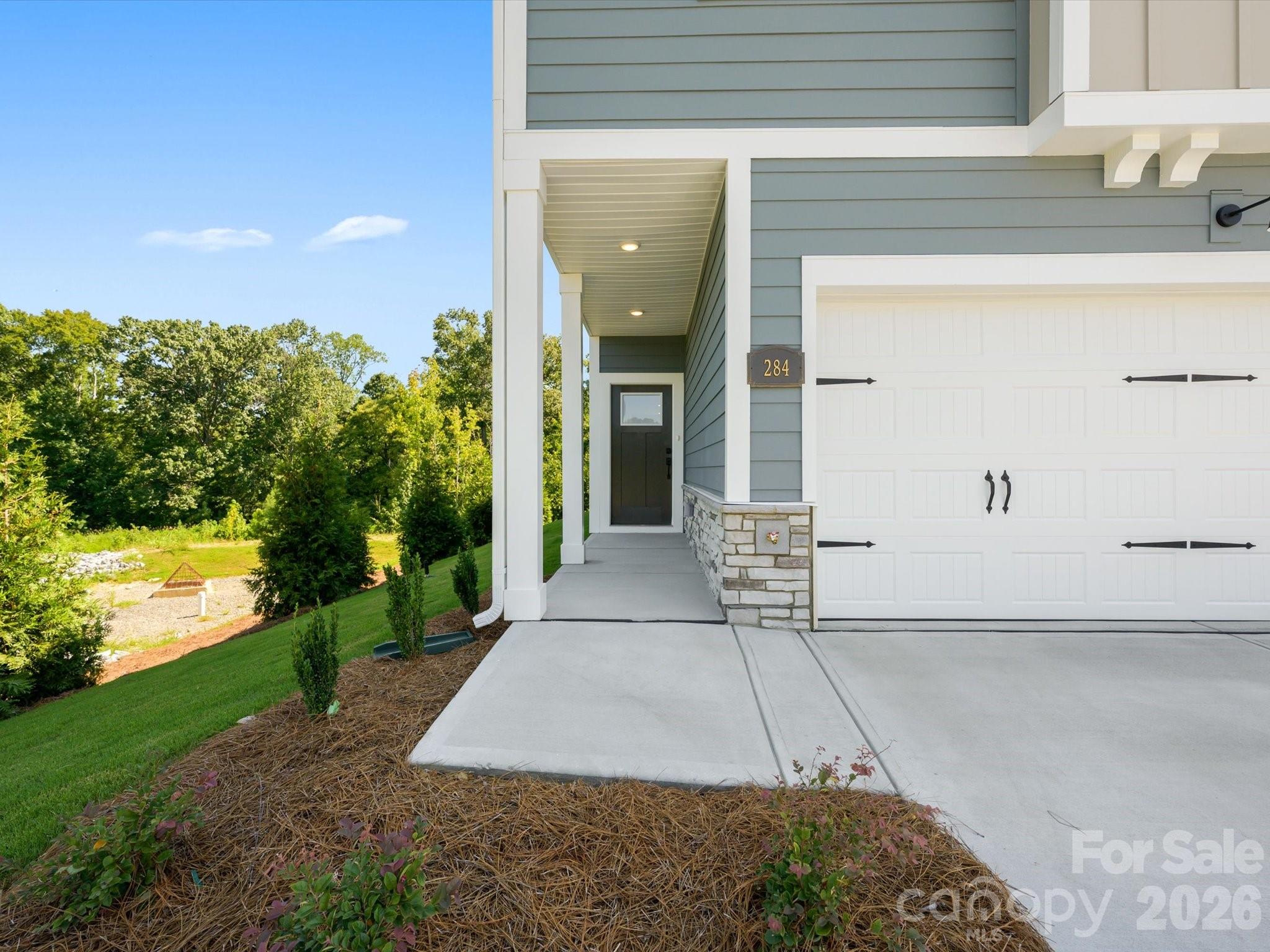 284 Alluvium Lane Property Photo 3