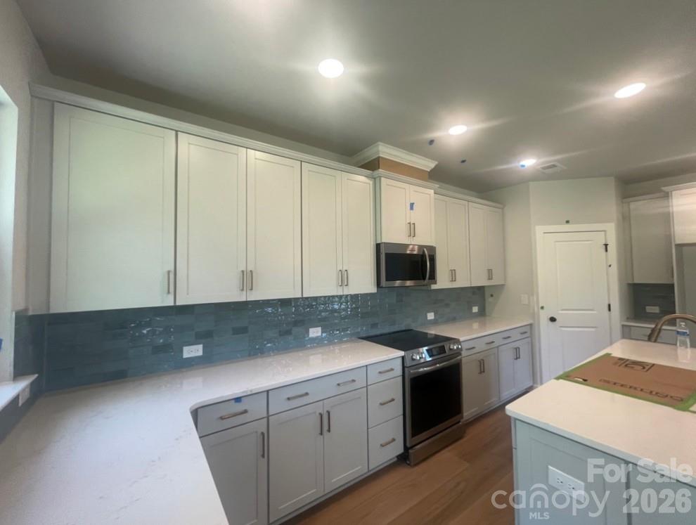 284 Alluvium Lane Property Photo 4