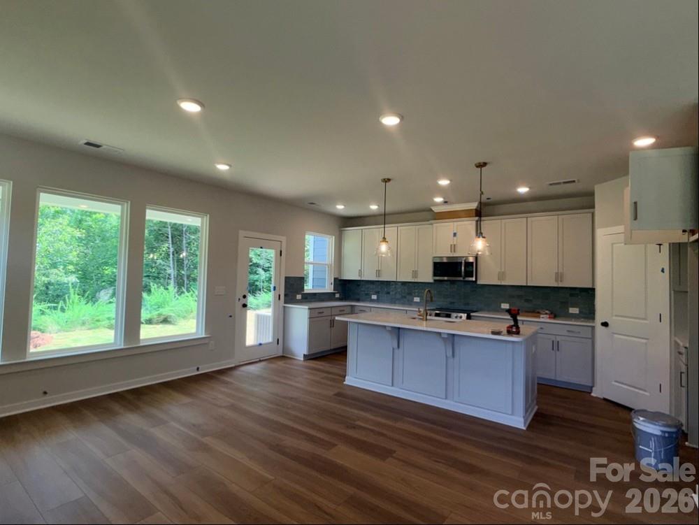 284 Alluvium Lane Property Photo 5