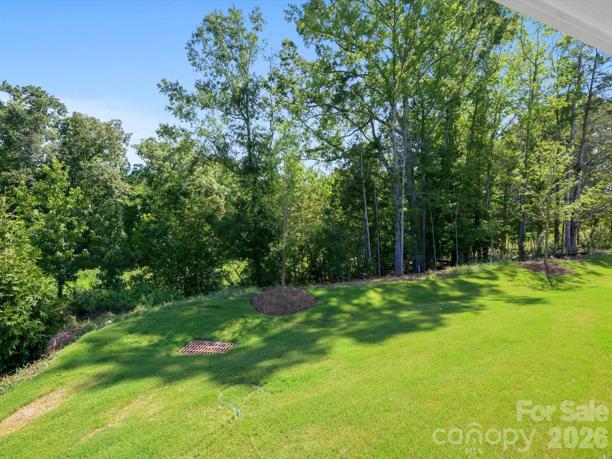 284 Alluvium Lane Property Photo 5