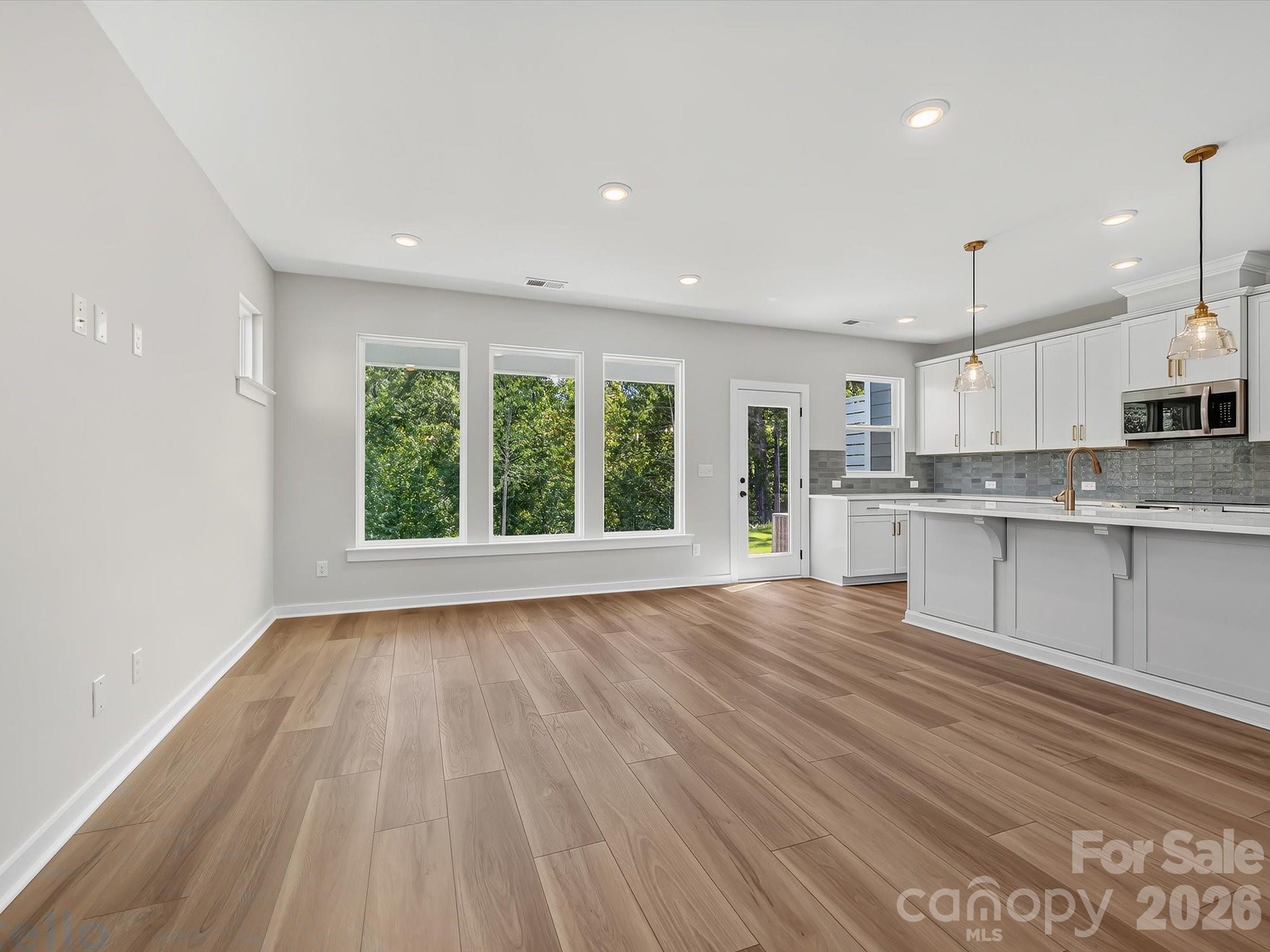 284 Alluvium Lane Property Photo 12