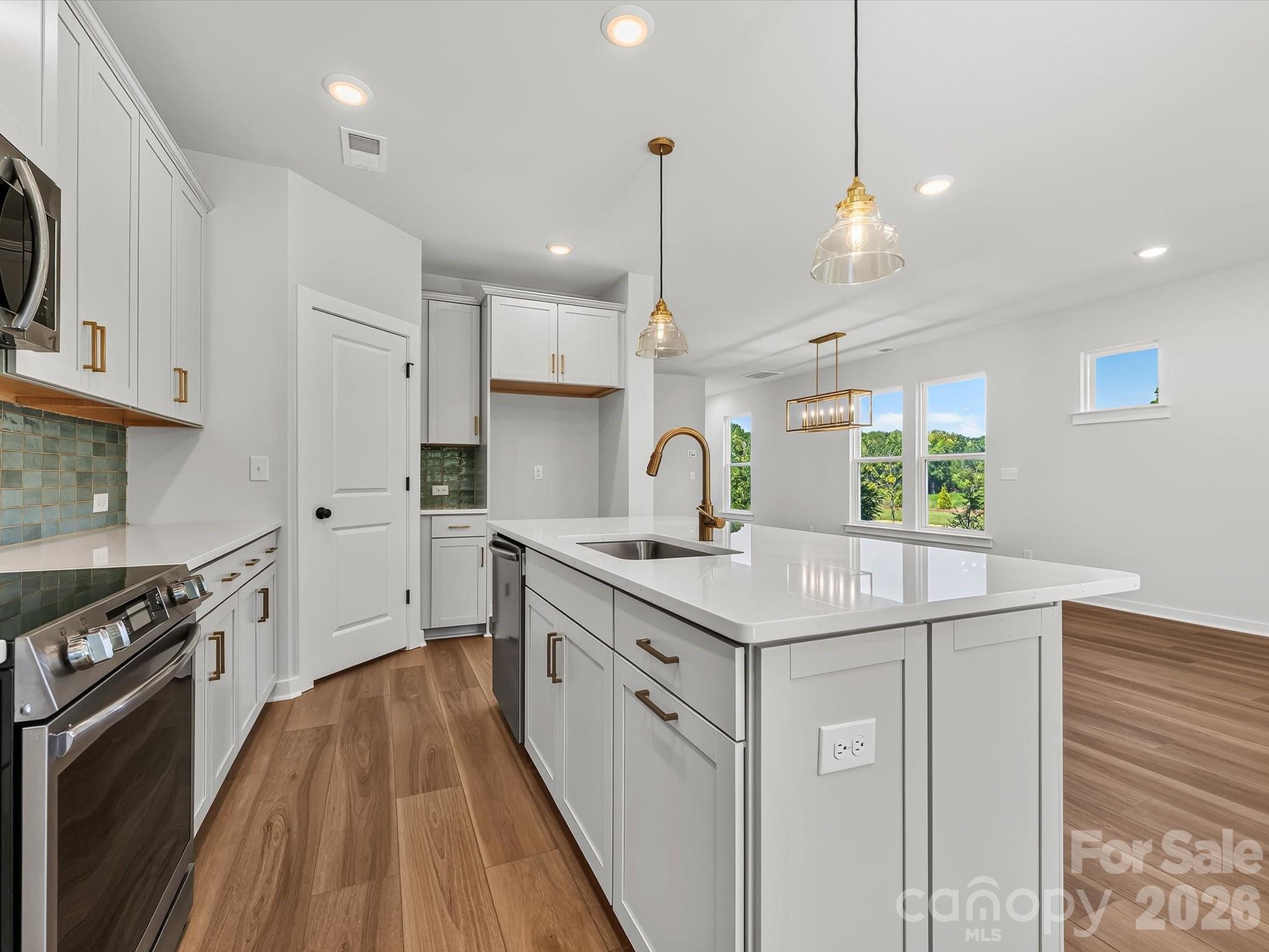 284 Alluvium Lane Property Photo 19