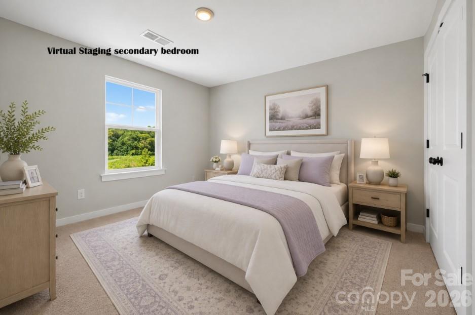 284 Alluvium Lane Property Photo 20