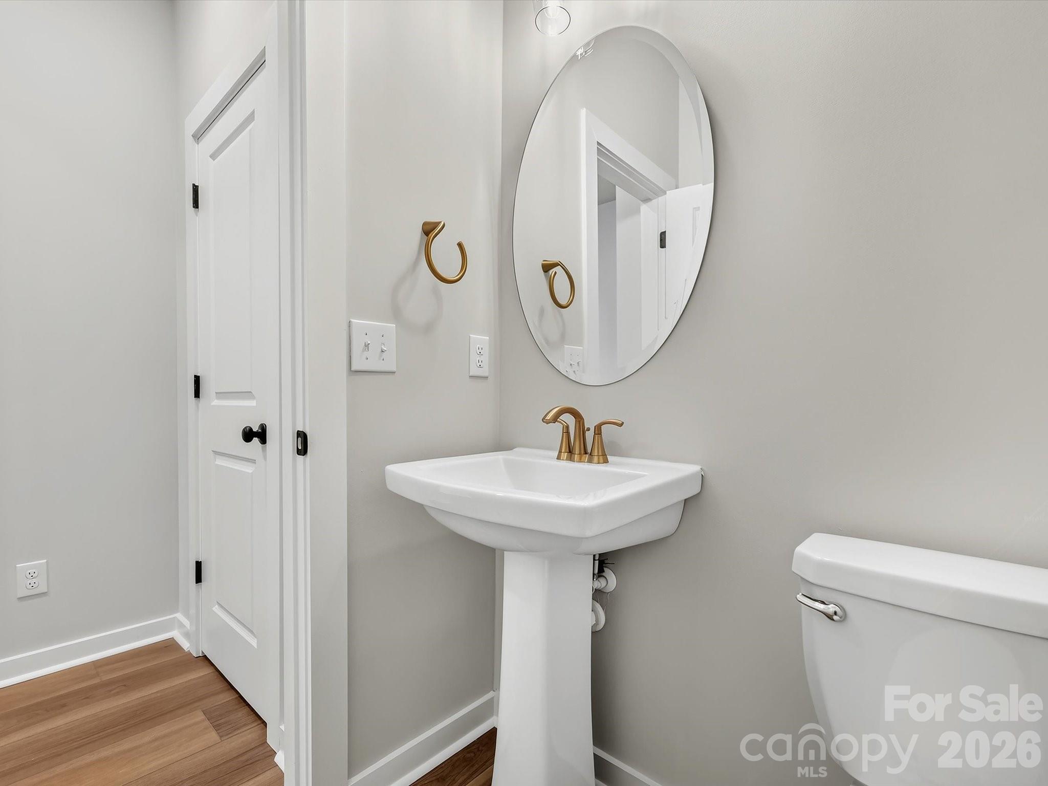 284 Alluvium Lane Property Photo 21