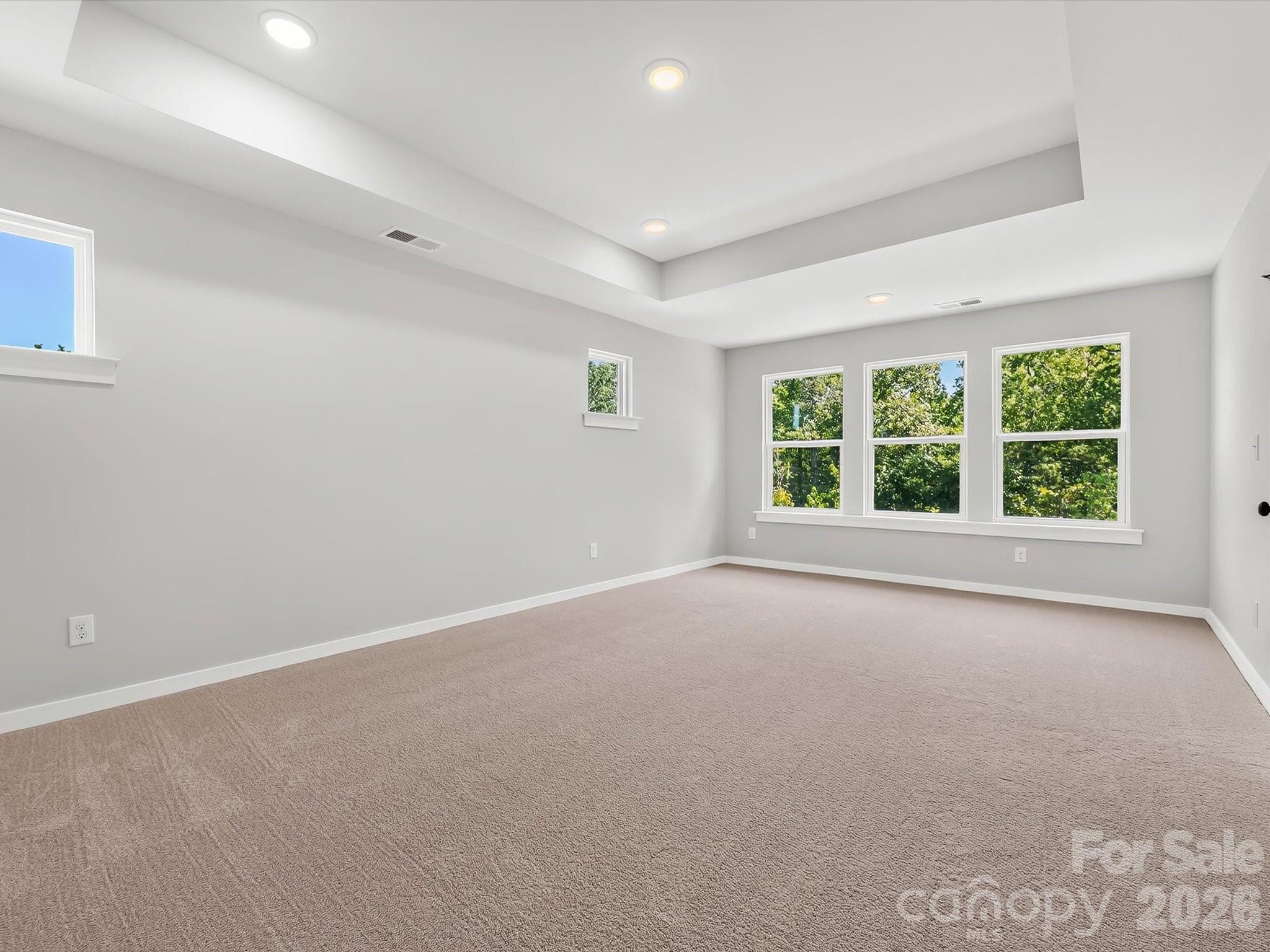 284 Alluvium Lane Property Photo 27